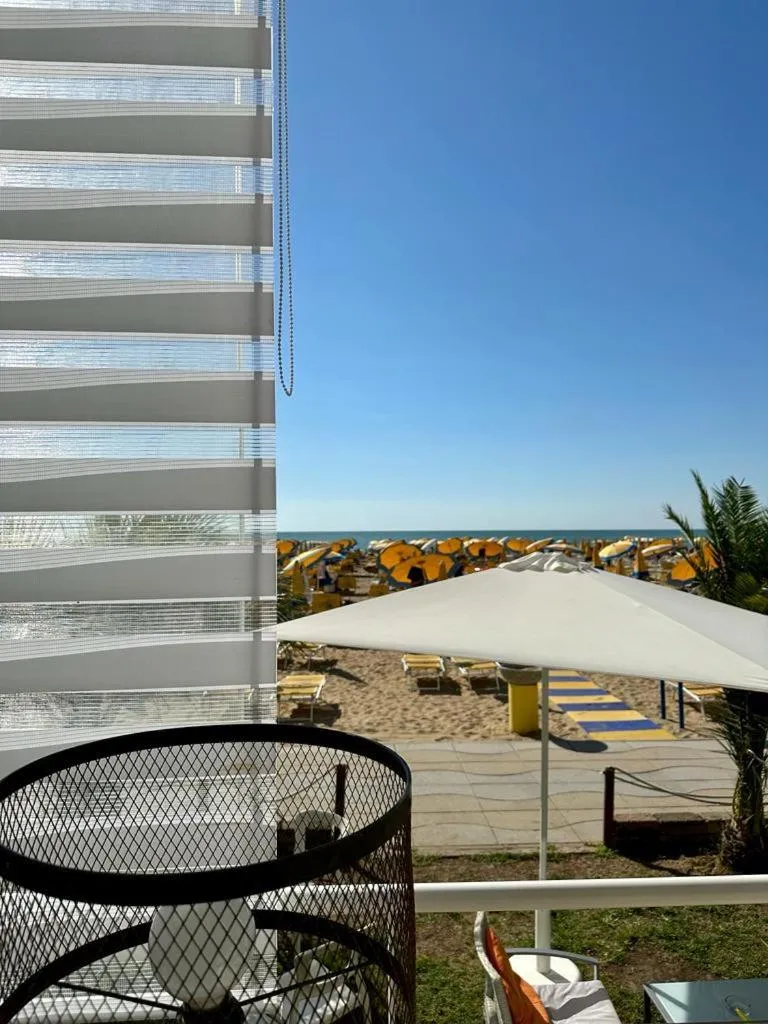 View (from property/room) in Hotel Nizza Frontemare Superior 3 Stelle