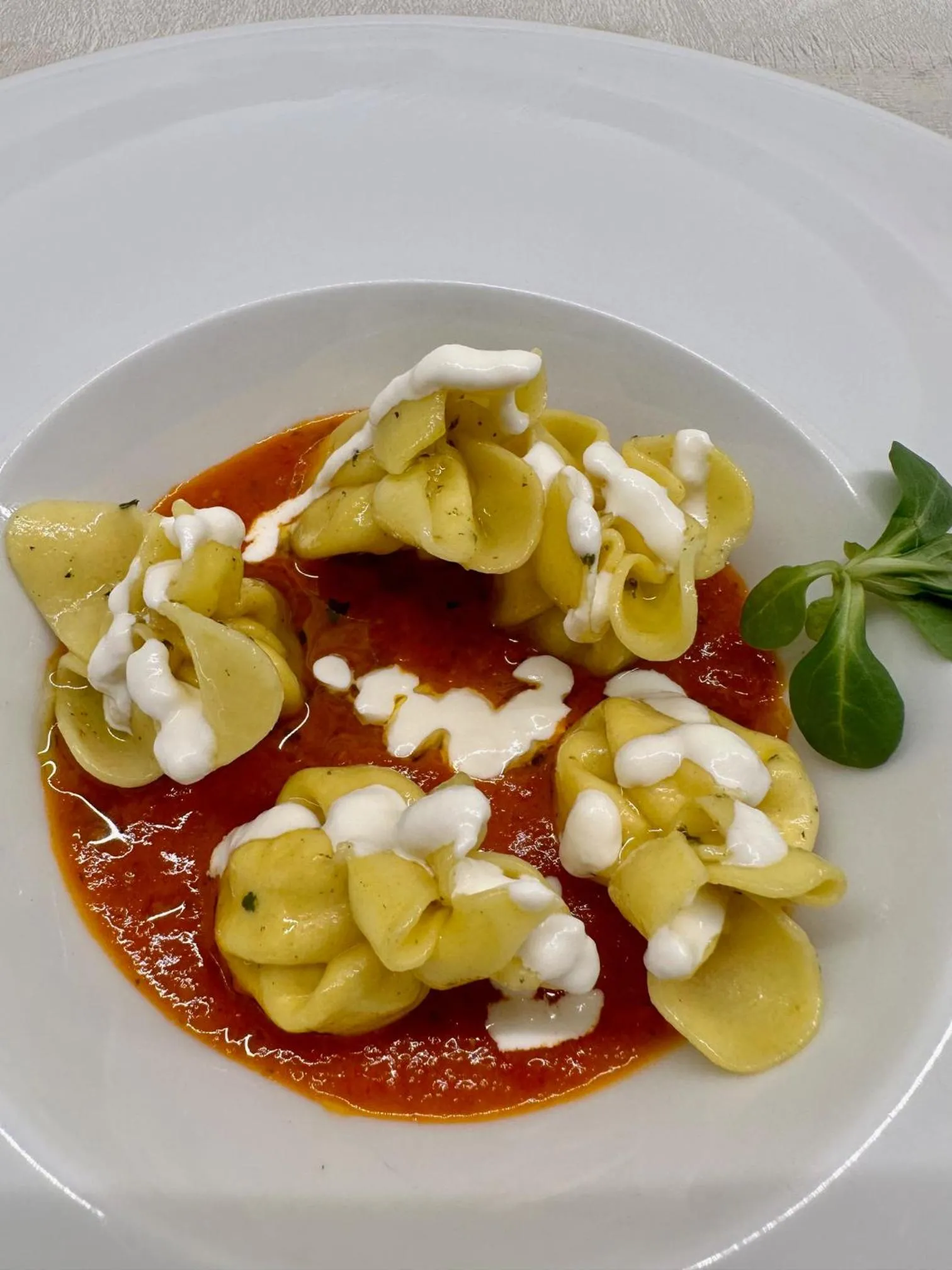 Food in Hotel Nizza Frontemare Superior 3 Stelle