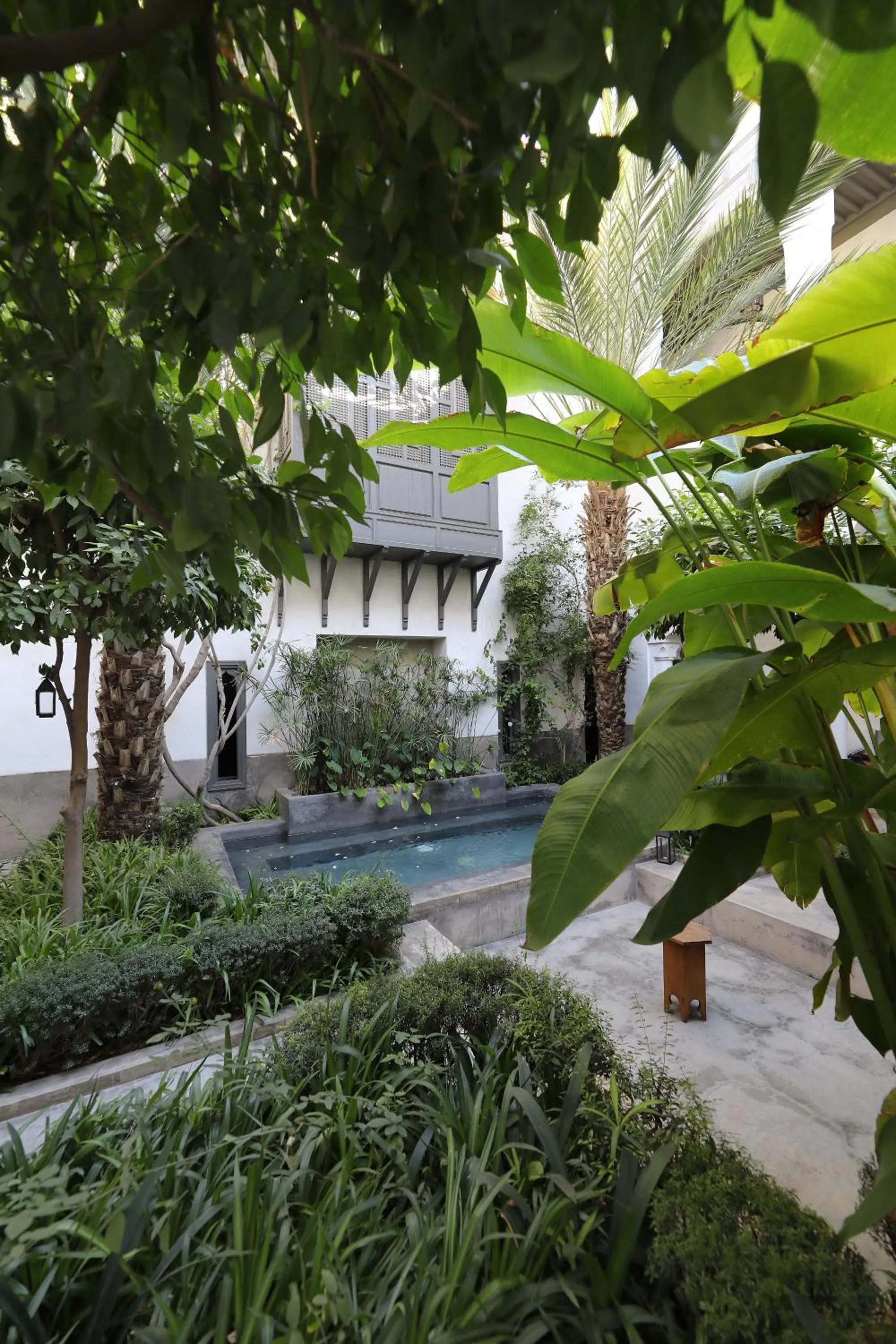 Garden in Riad Zaouia 44