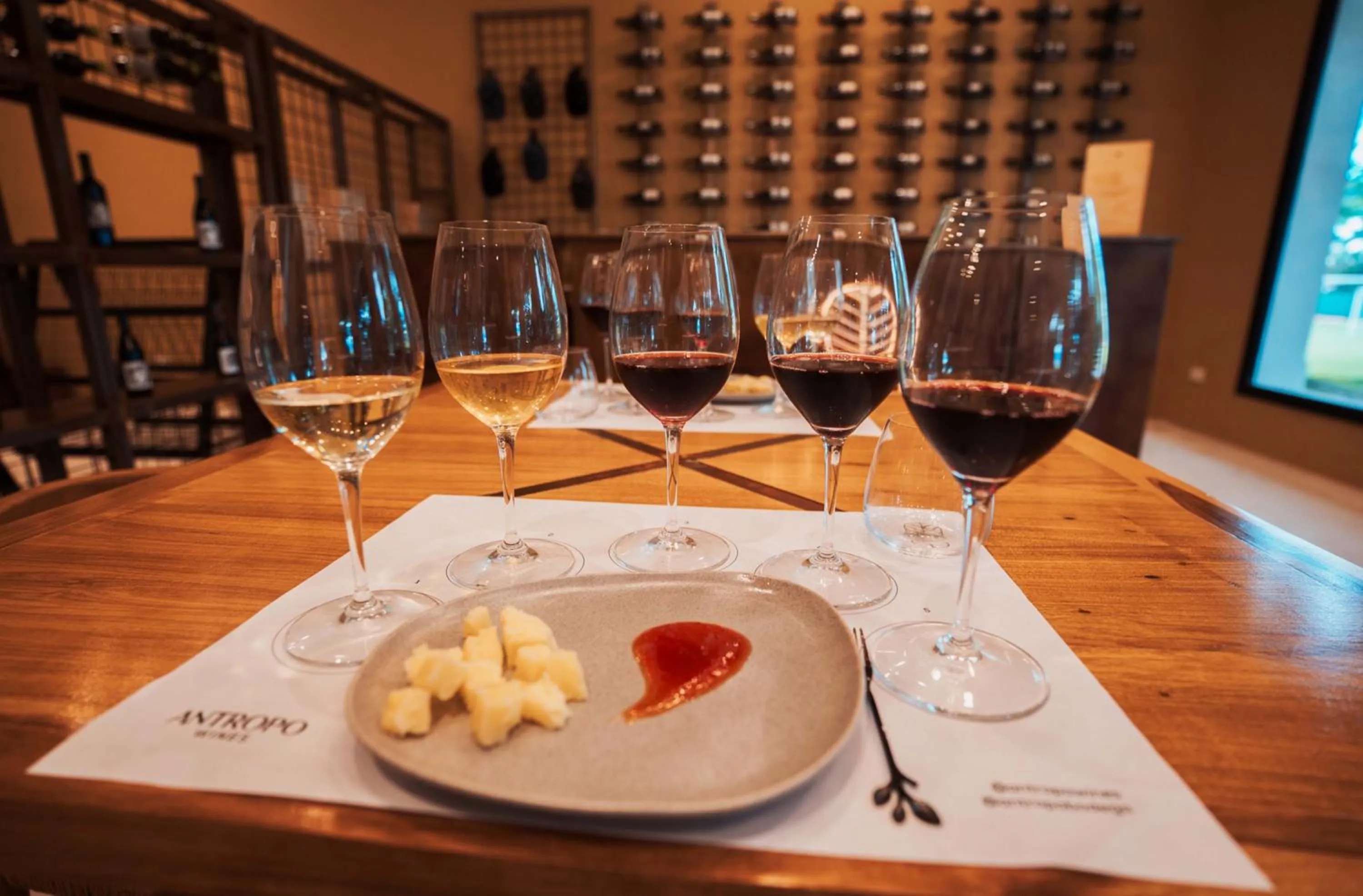 Area and facilities in Altos de la Viña, Wine Hotel & Spa