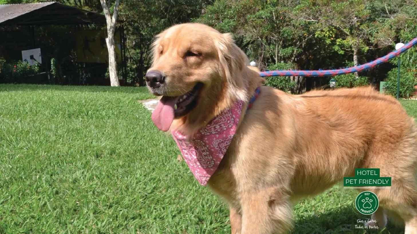 Pets in Eldorado Atibaia Eco Resort