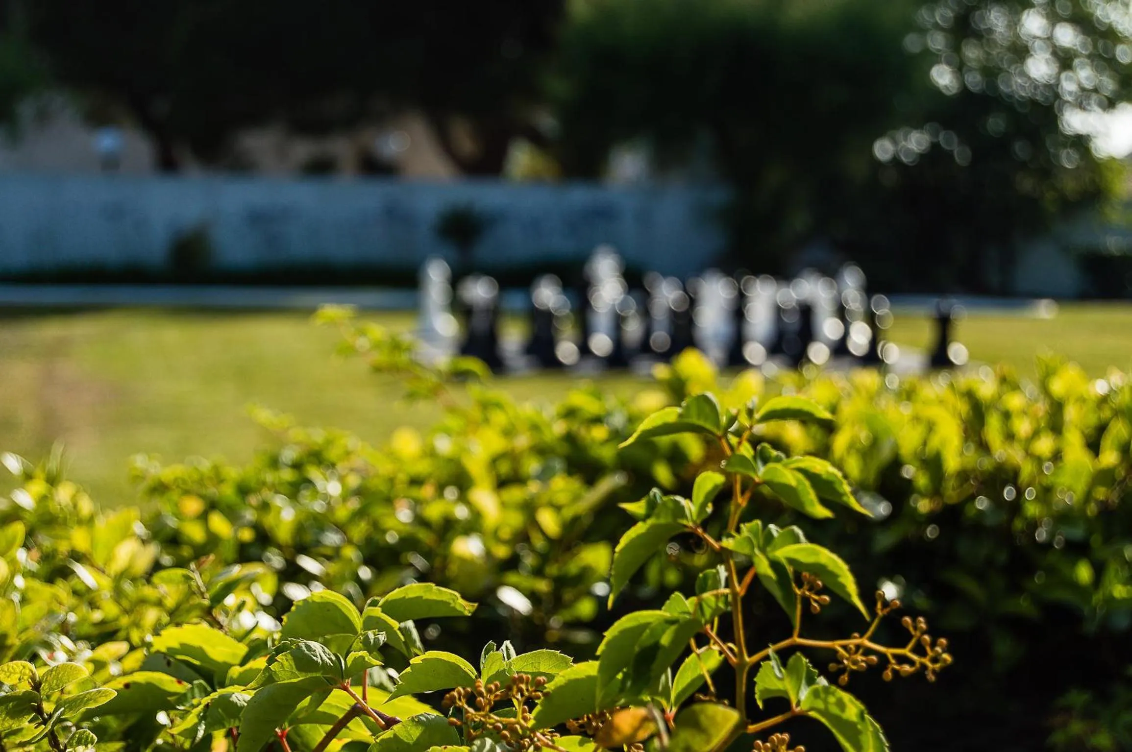 Garden in Casa Da Padeira - Turismo Rural