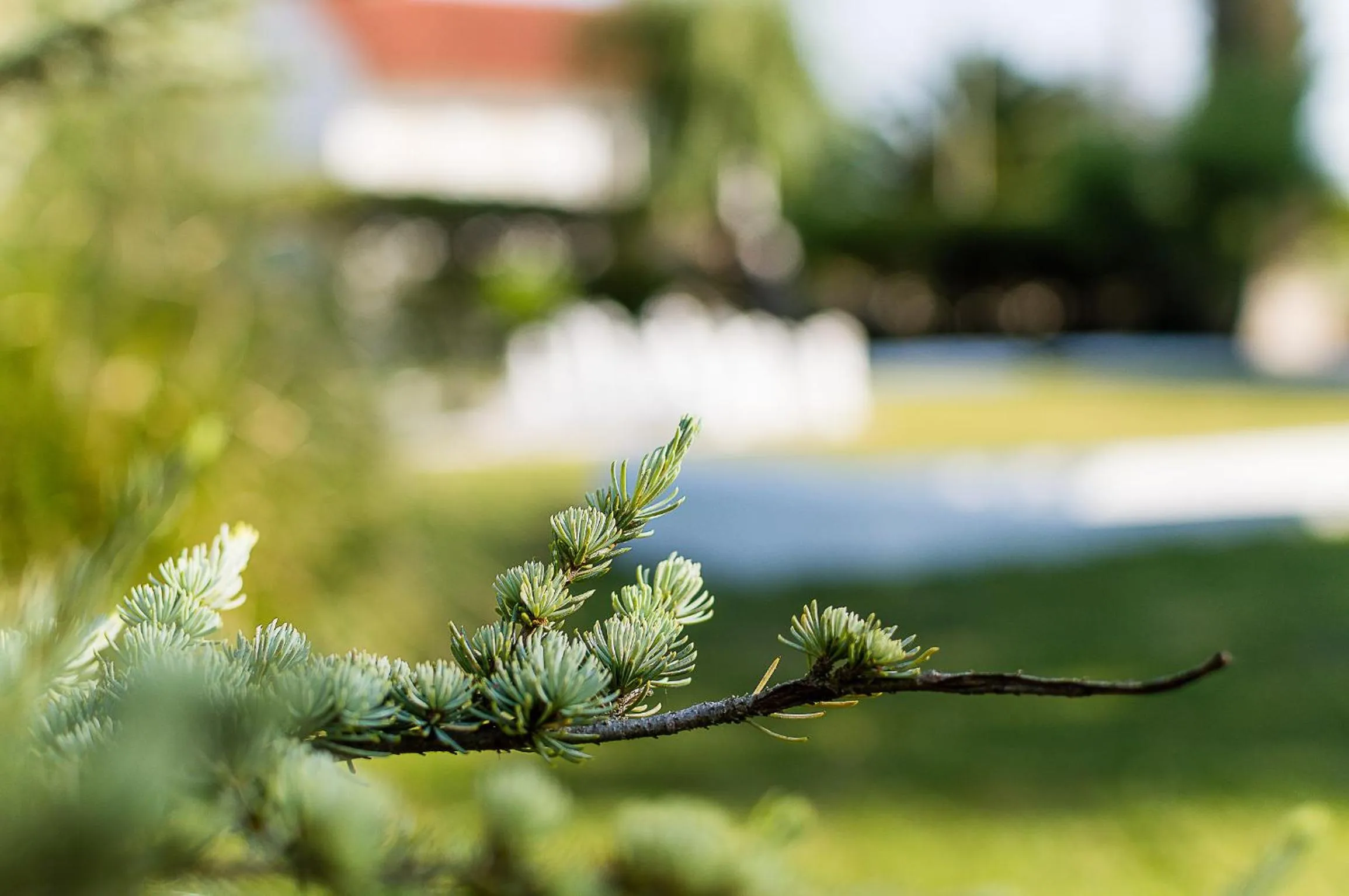 Garden in Casa Da Padeira - Turismo Rural
