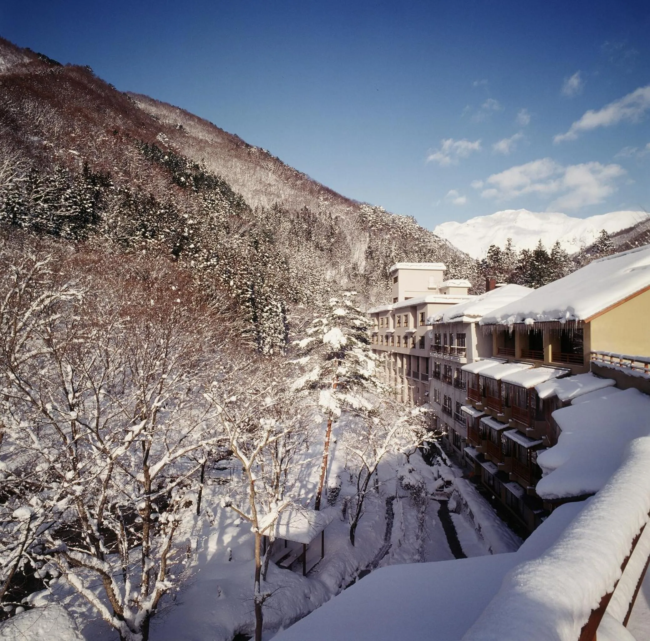 Property building in Kinseikan Seseragi