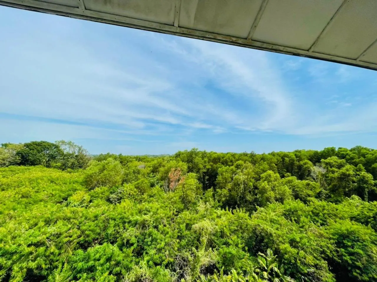 PD Laguna Resort Holiday