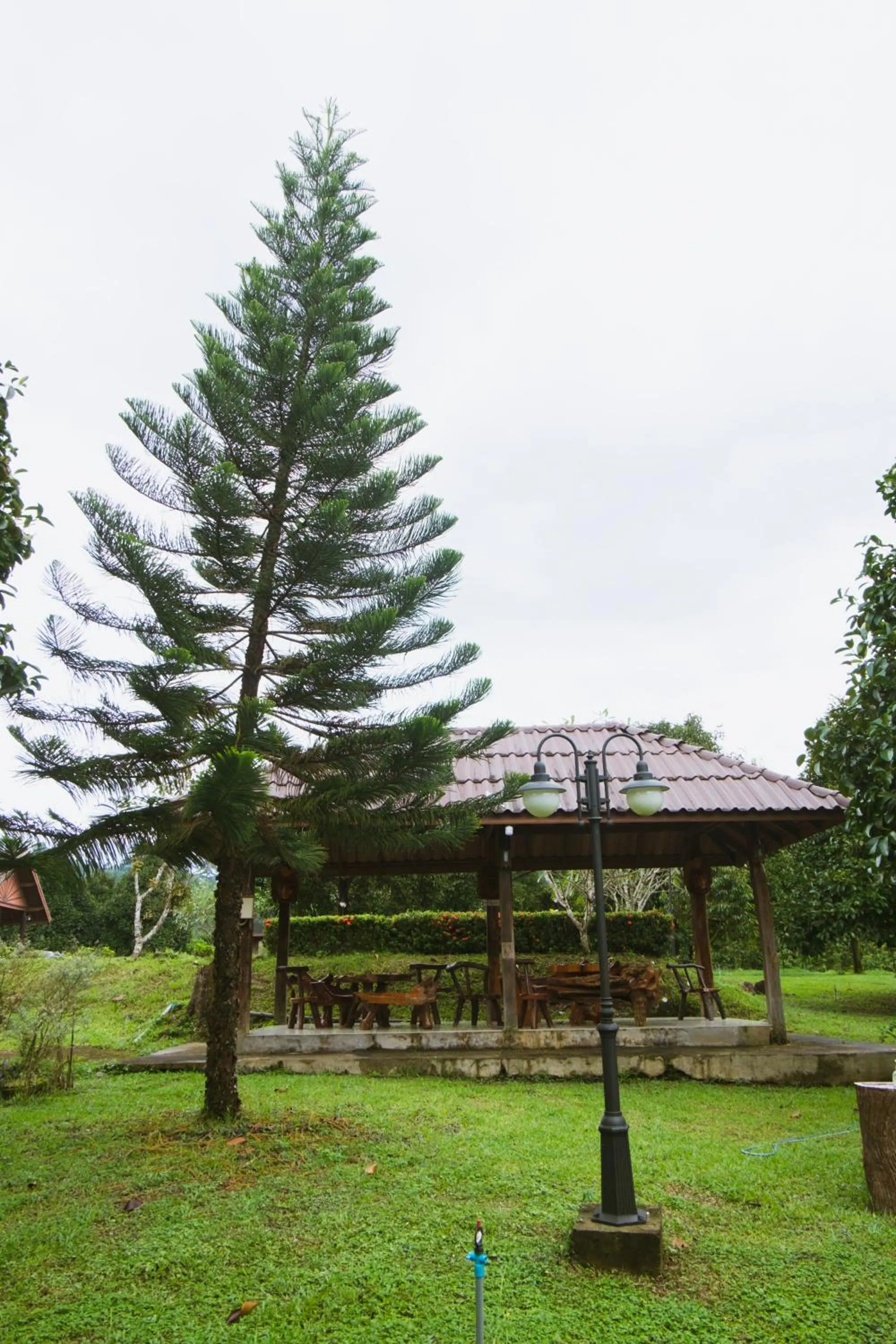 Garden view in Akantuka Homestay
