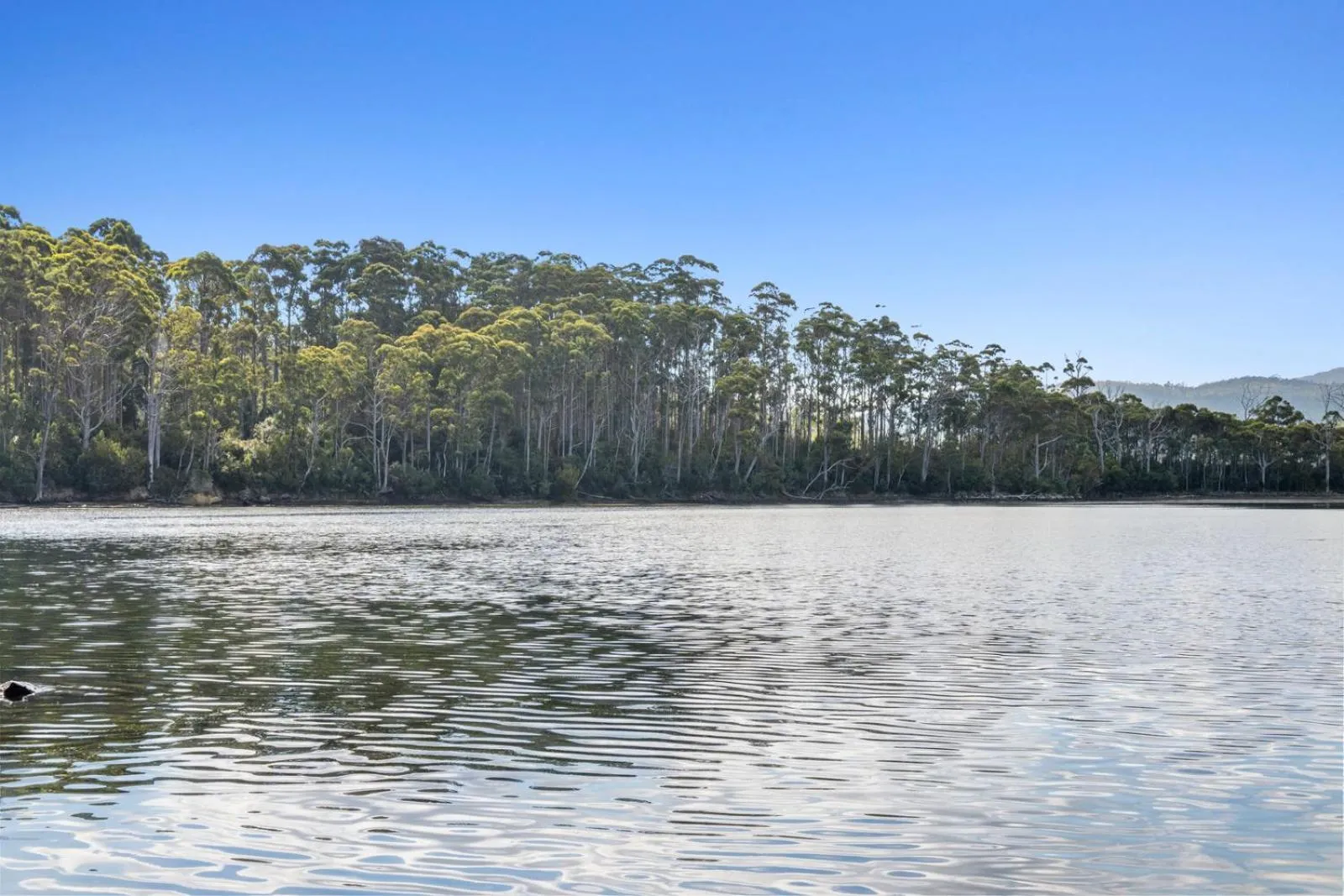 Natural landscape in The Fox and Hounds Historic Hotel