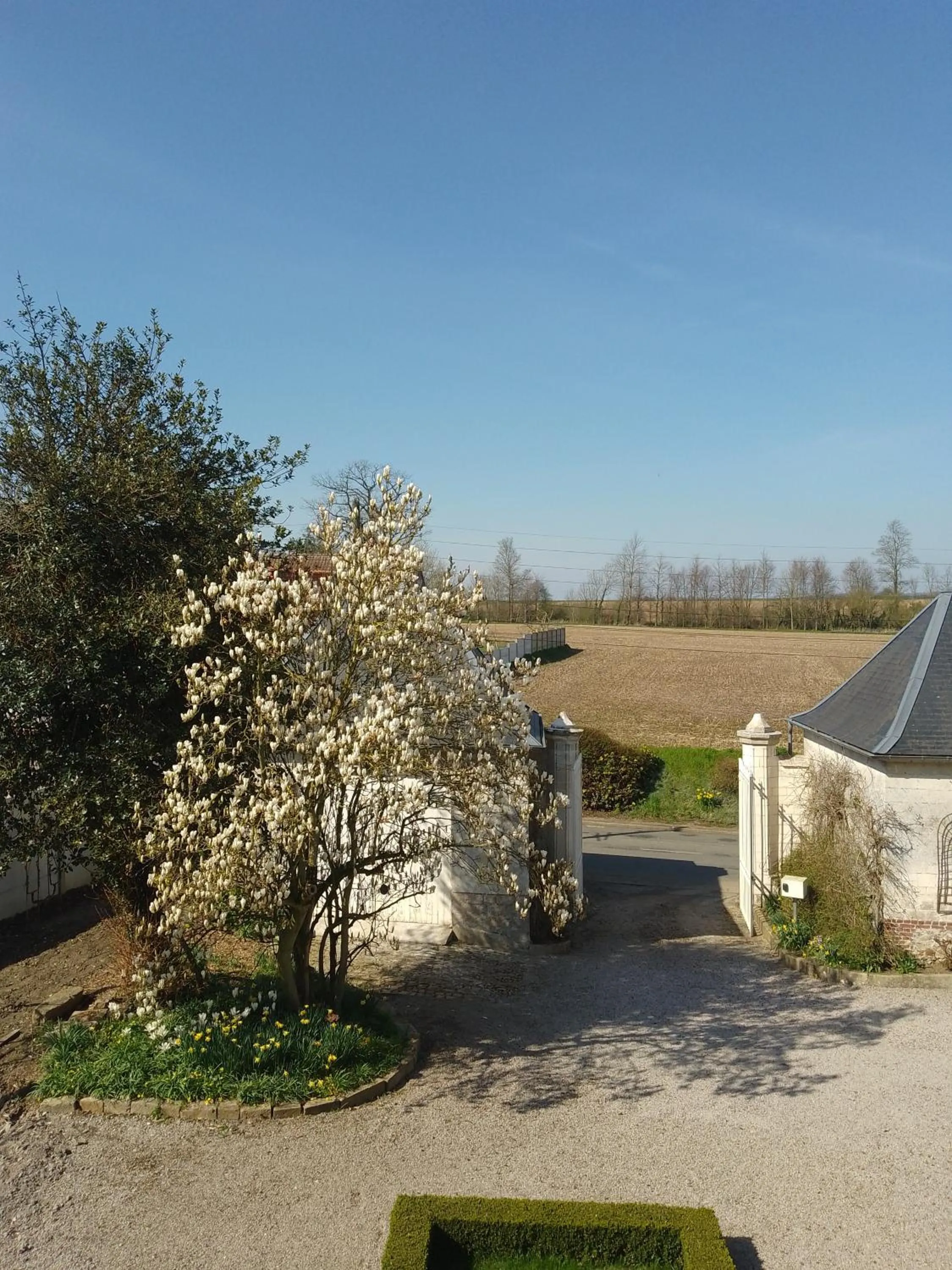 Garden view in Charme D Antan