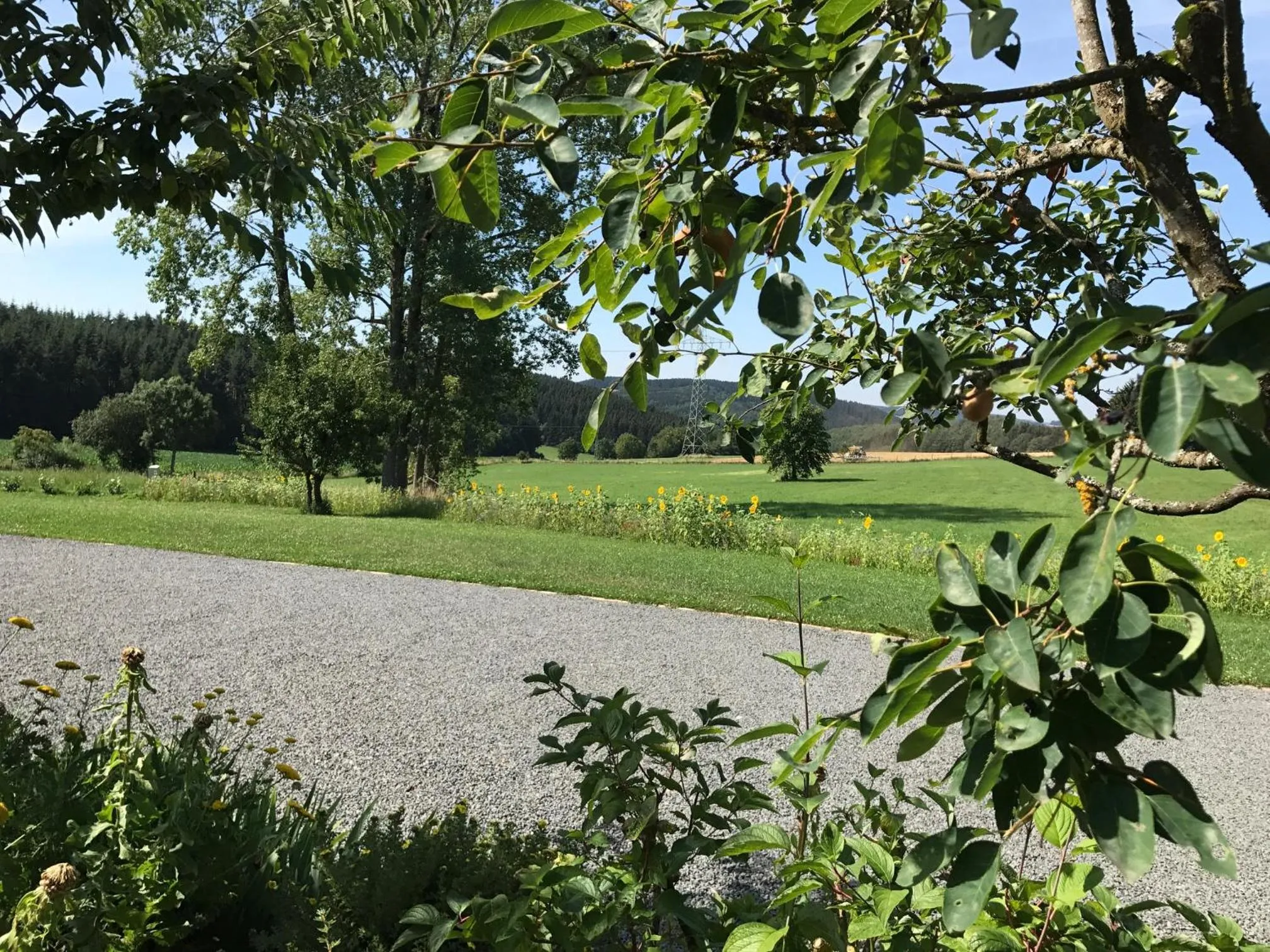 Property building in Hofgut Held