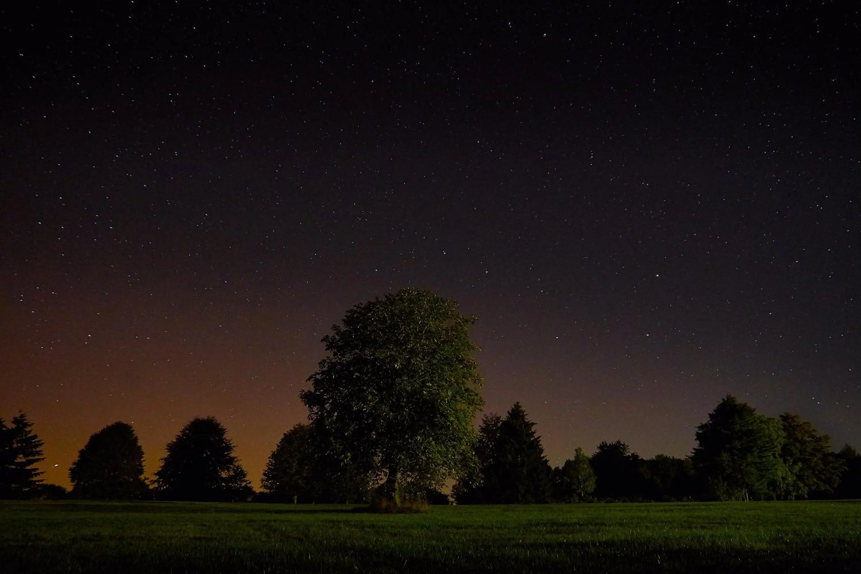 Natural landscape in Hofgut Held