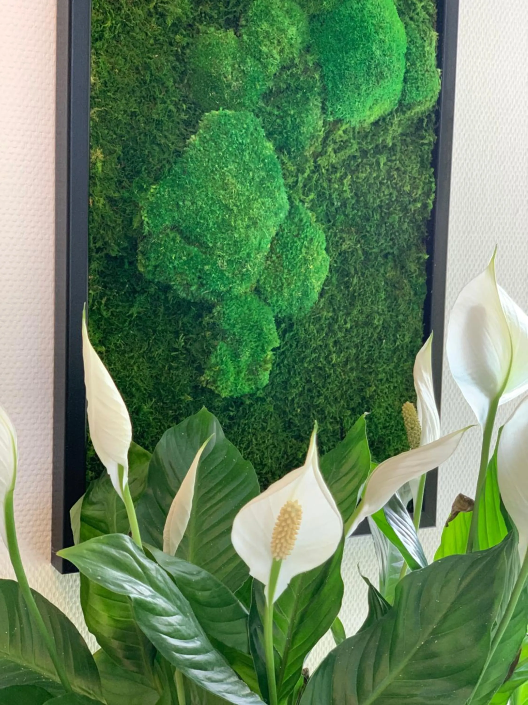 Lobby or reception in Hotel Bannewitz B&B