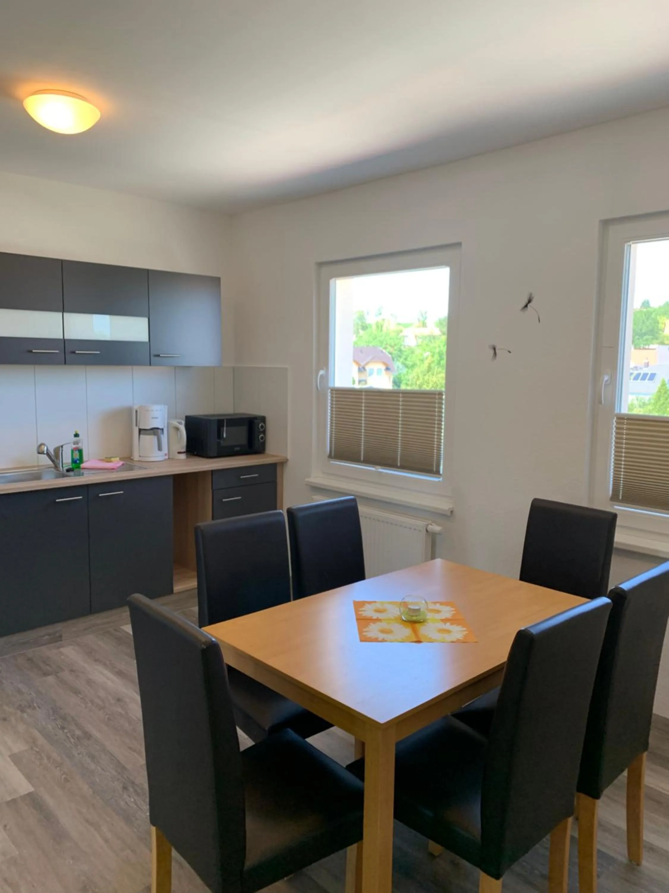 Kitchen or kitchenette in Hotel Bannewitz B&B