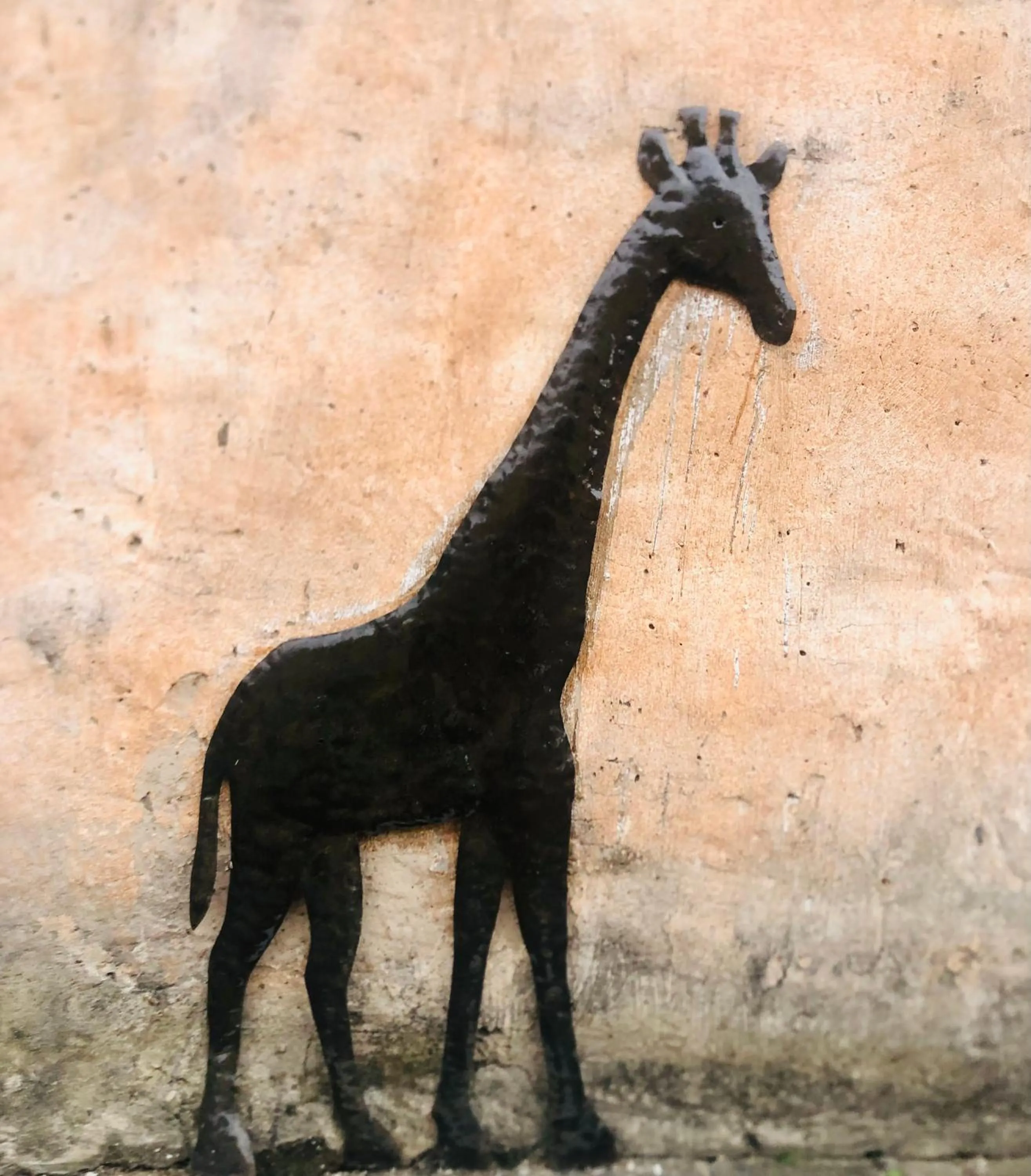 Decorative detail in Big Five Guest House