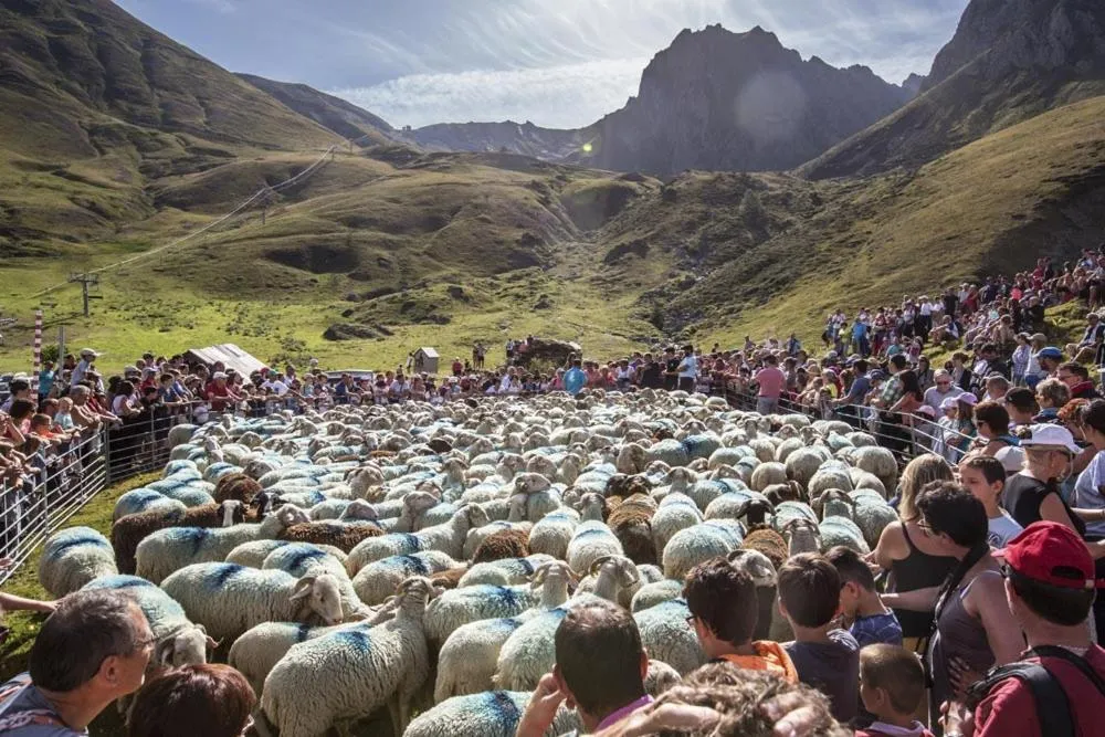 Résidence des Touristes