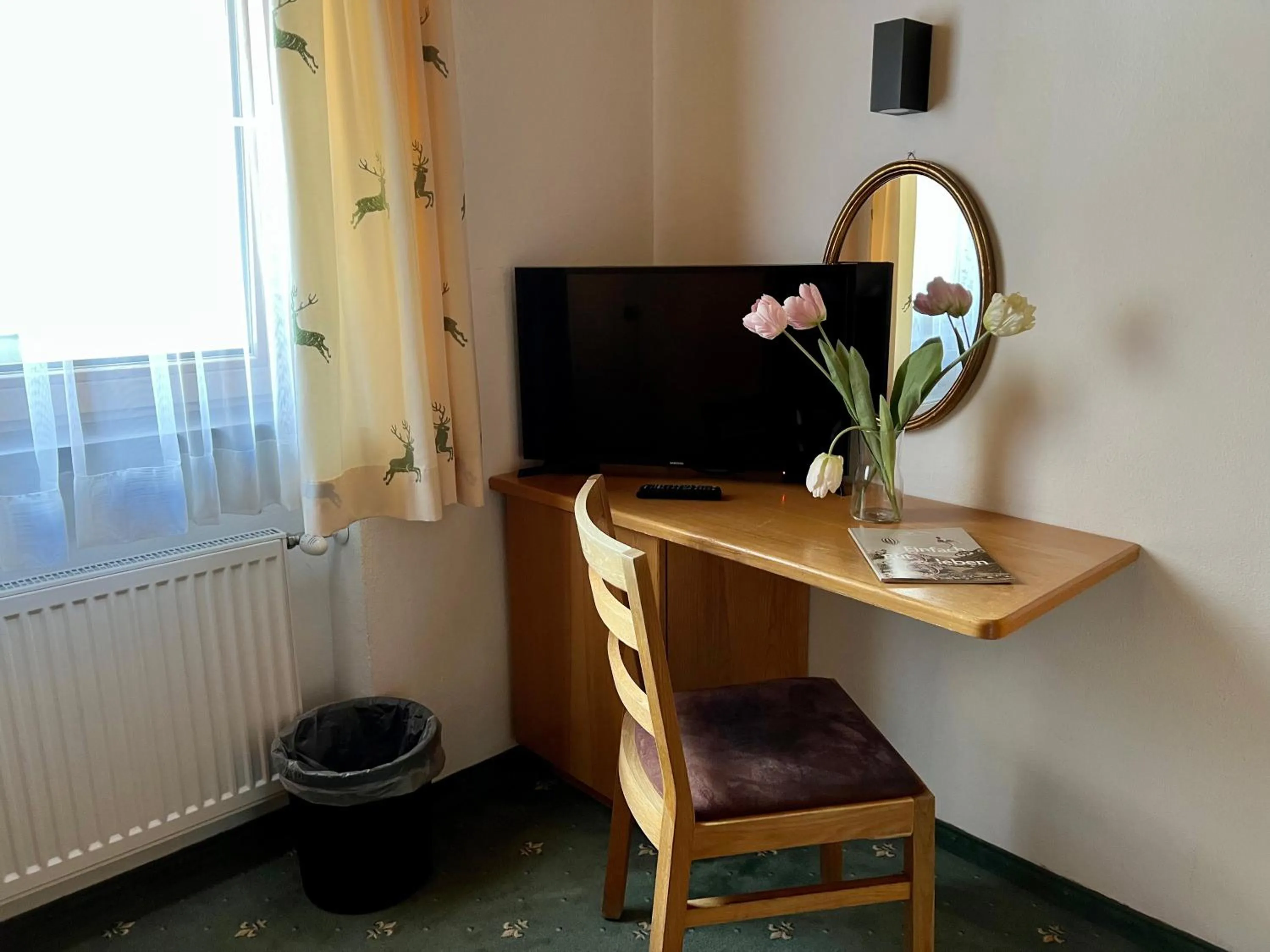 TV and multimedia in Posthotel Pfunds