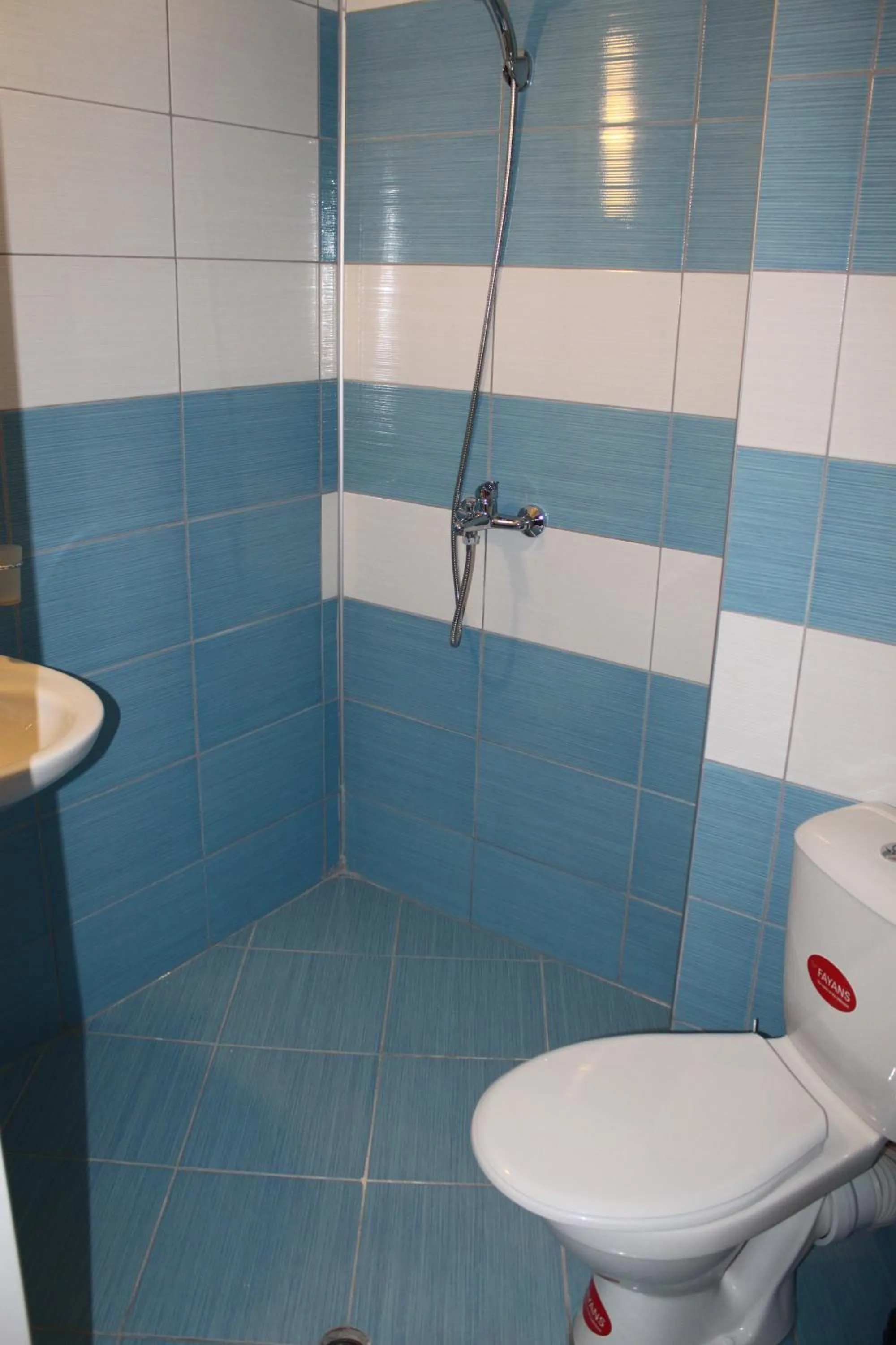 Bathroom in Rose Garden Omax Apartments