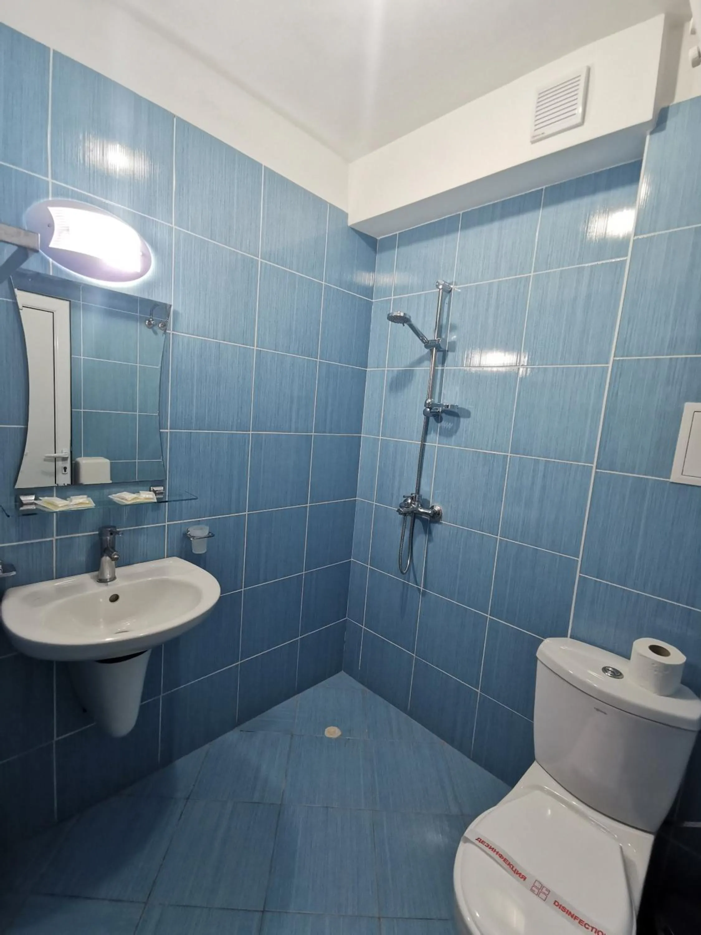 Rose Garden Omax Apartments