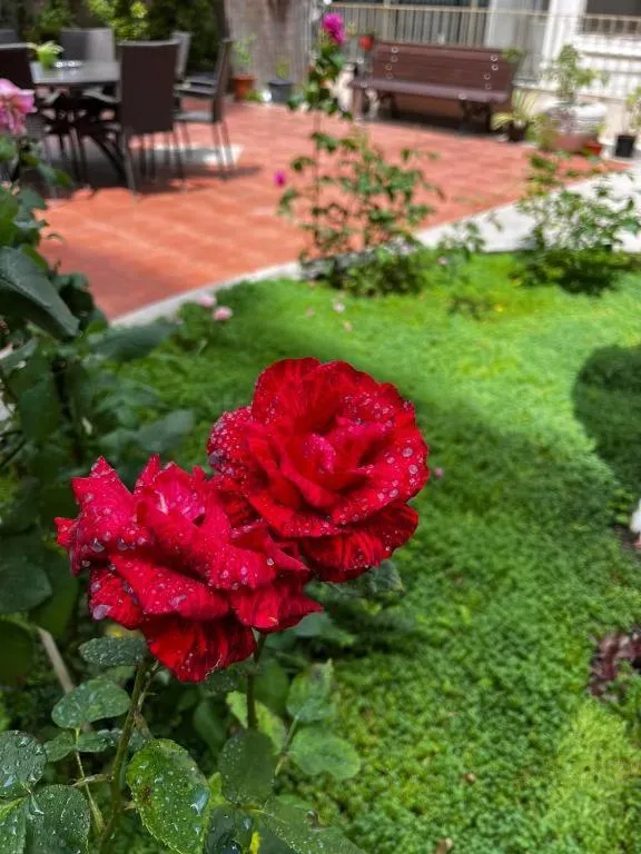 Rose Garden Omax Apartments