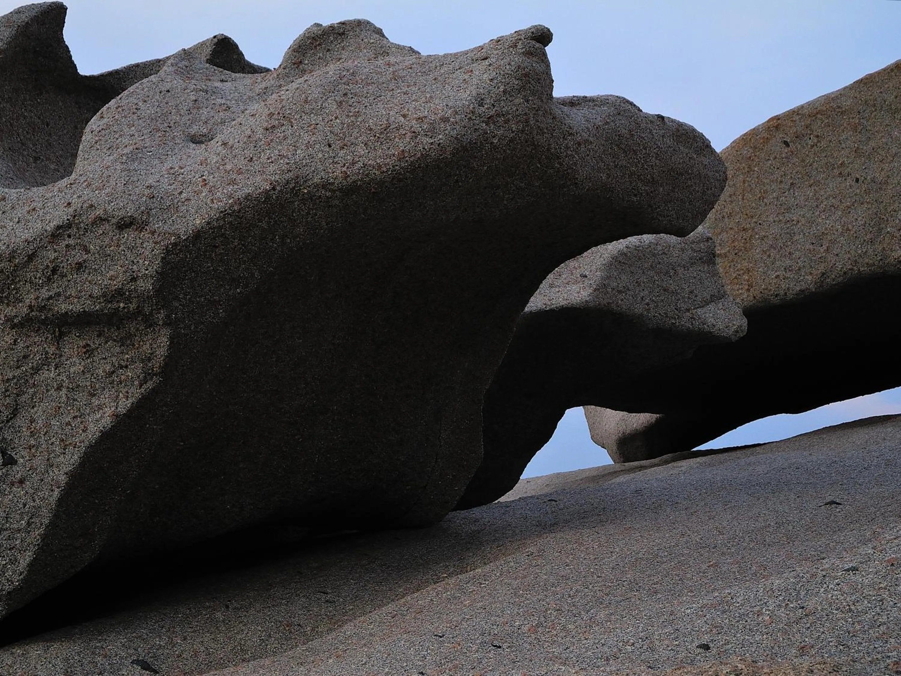 La Chicca di Francesca