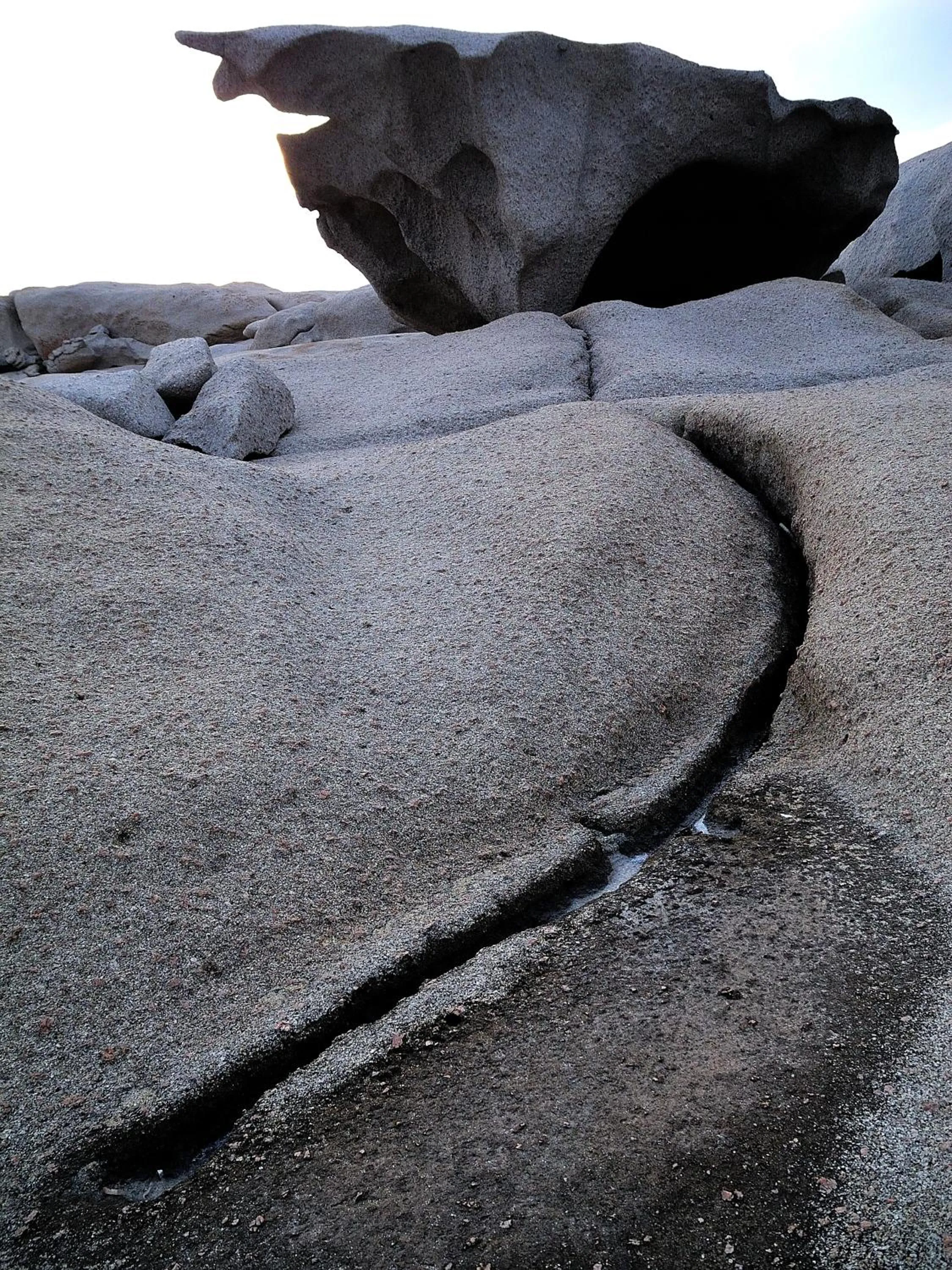 La Chicca di Francesca