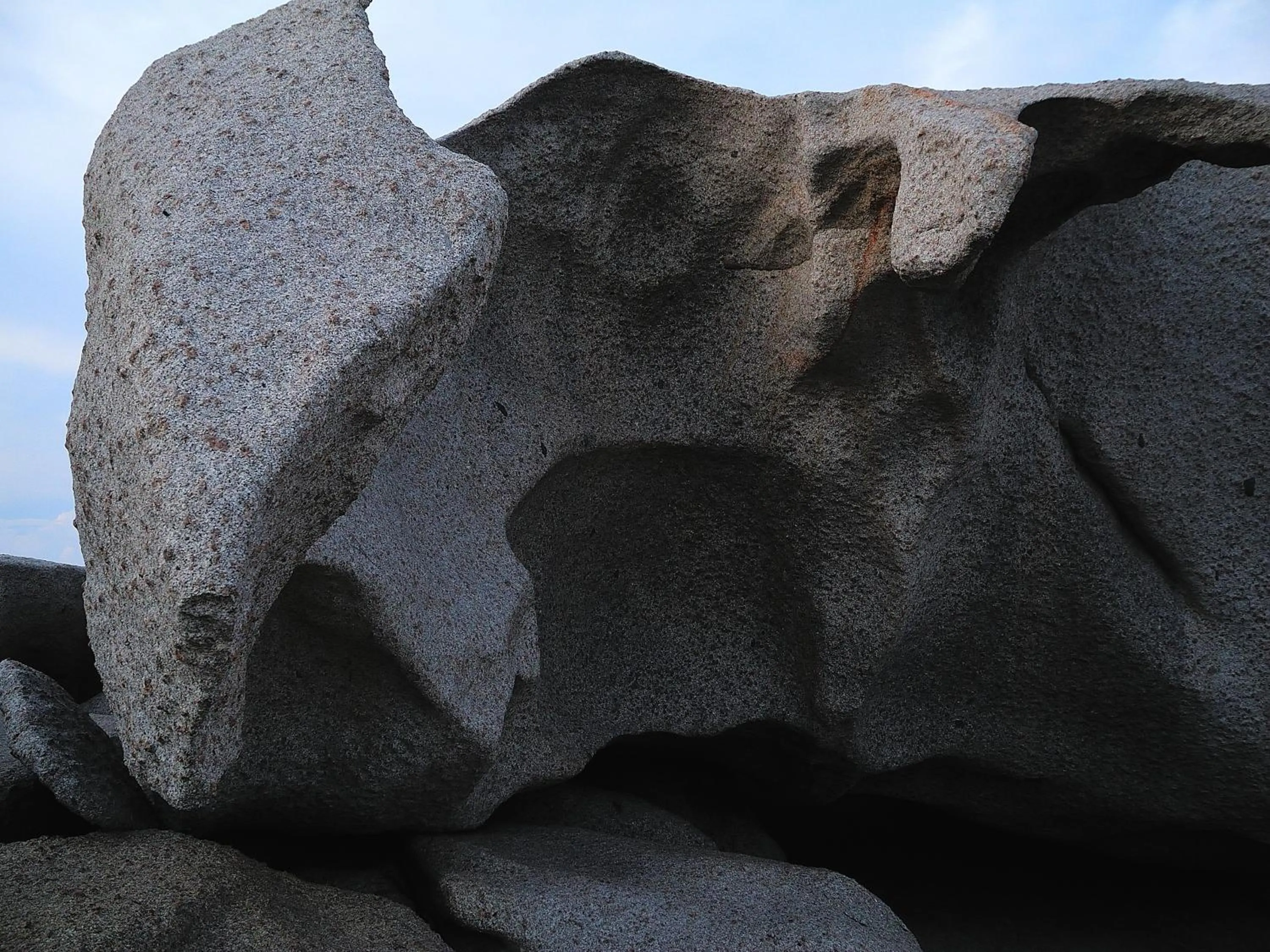 La Chicca di Francesca