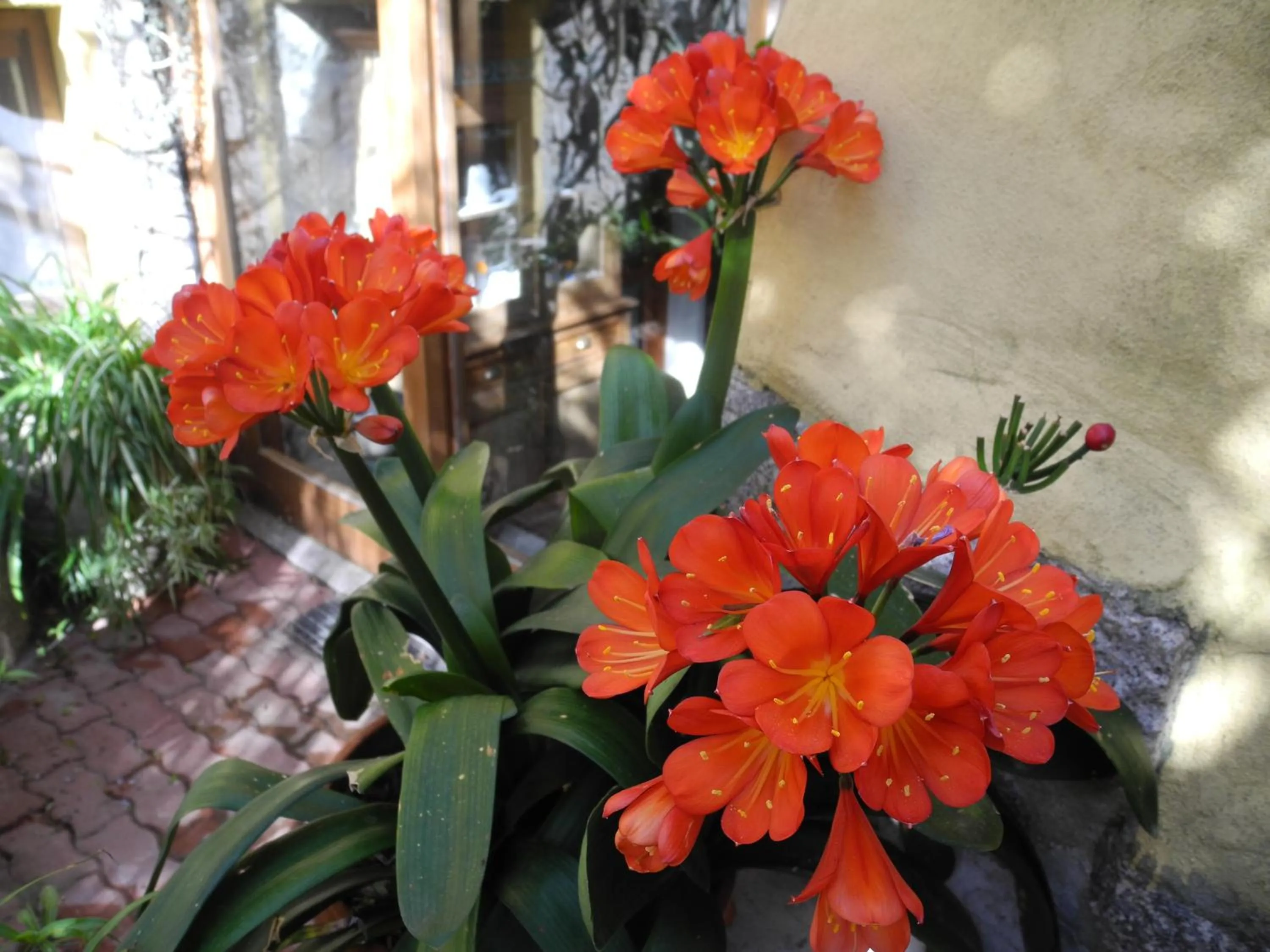 La Chicca di Francesca