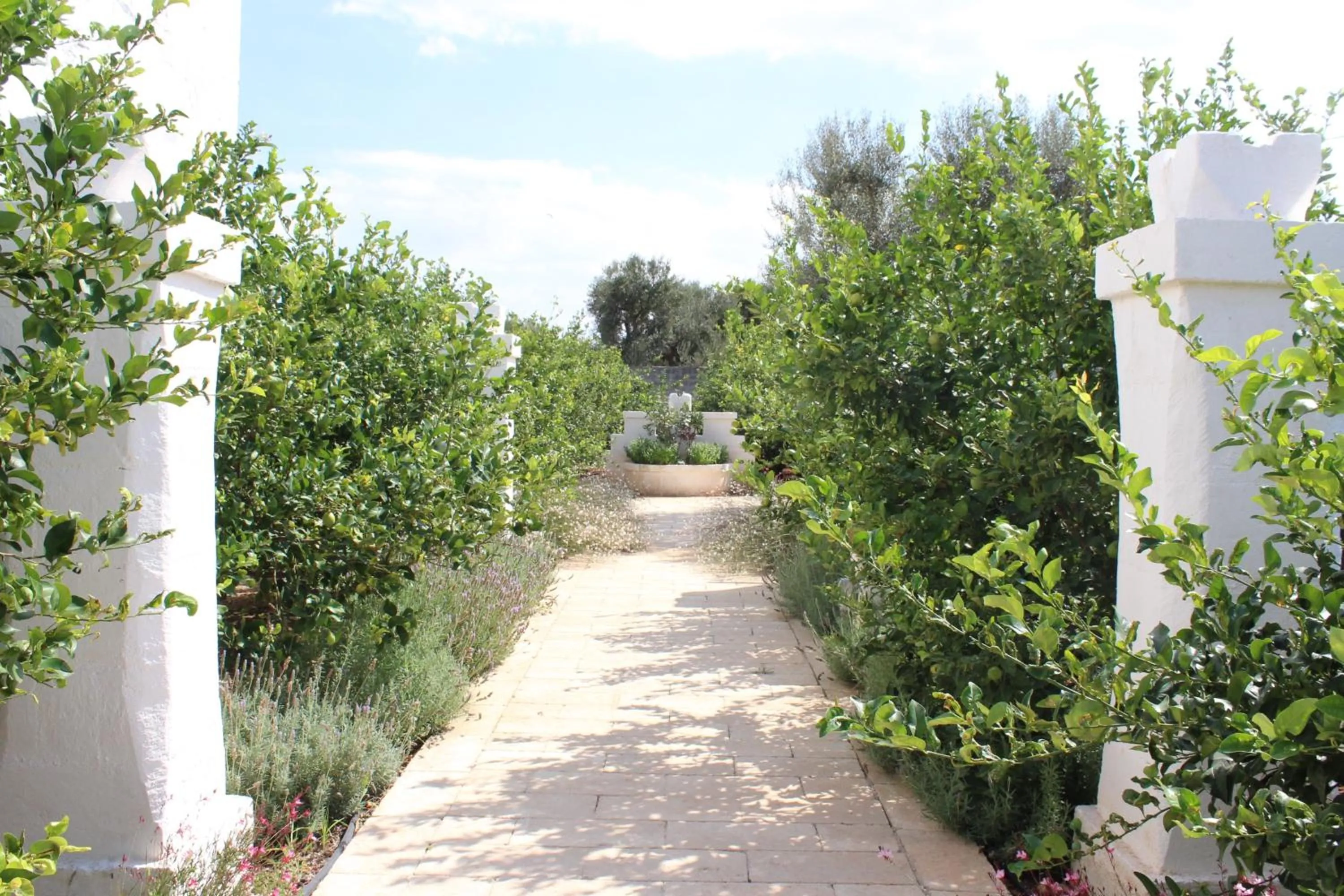 Garden in Masseria Mammella