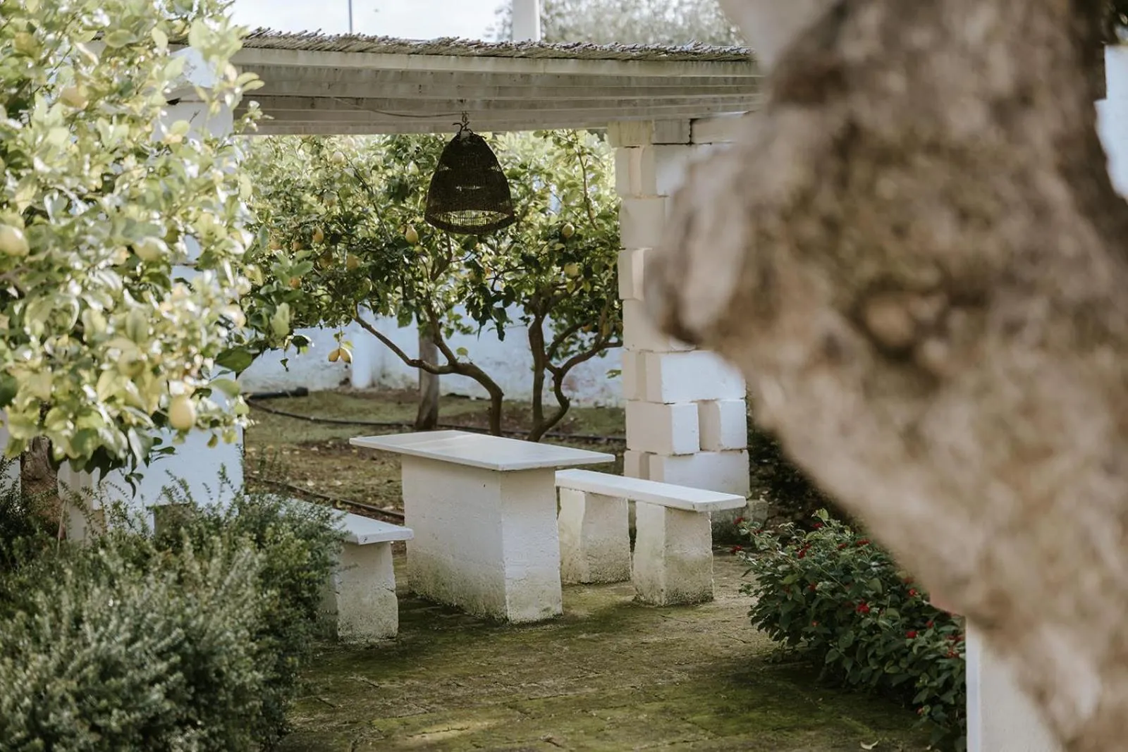 Property building in Masseria Mammella