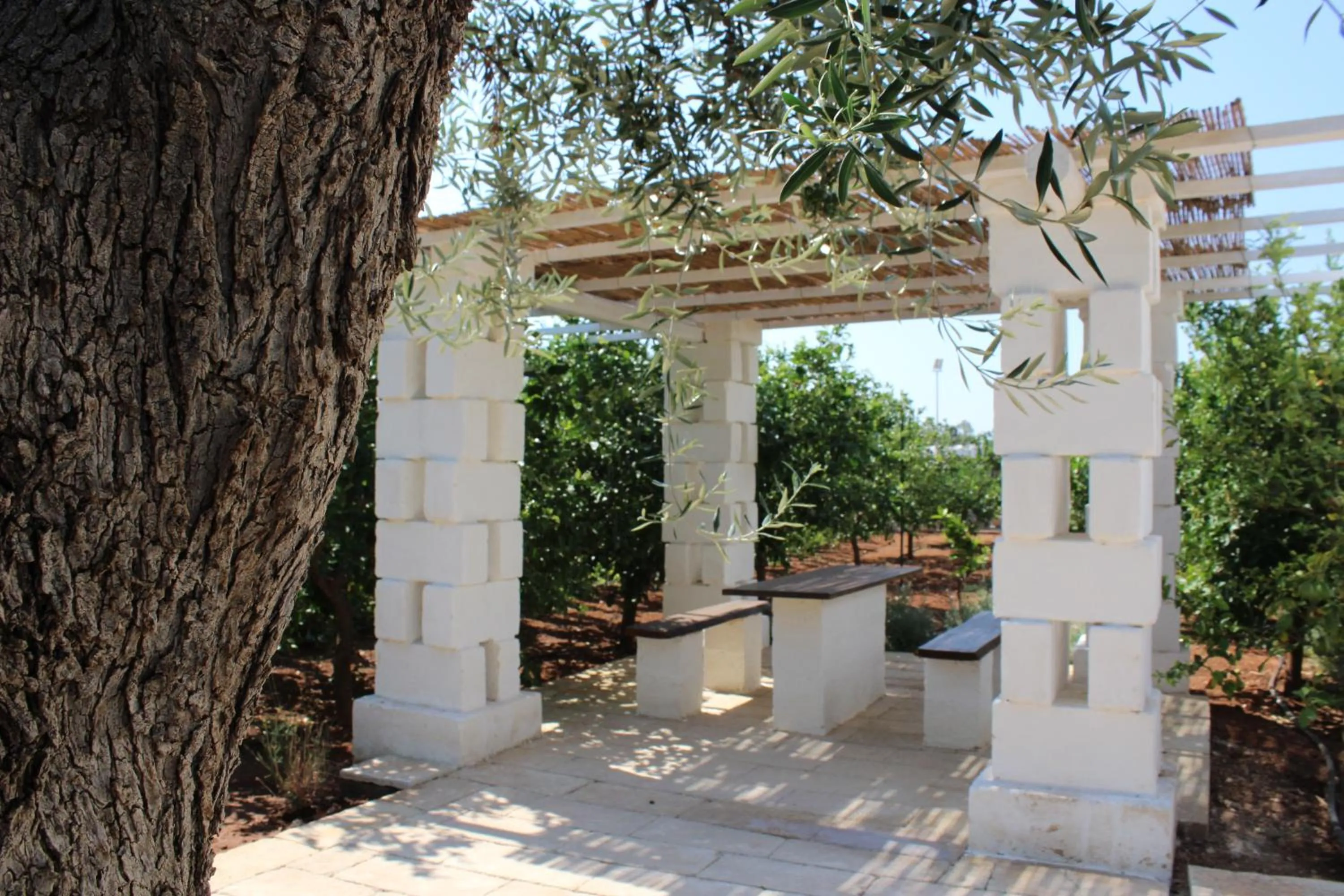 Garden in Masseria Mammella