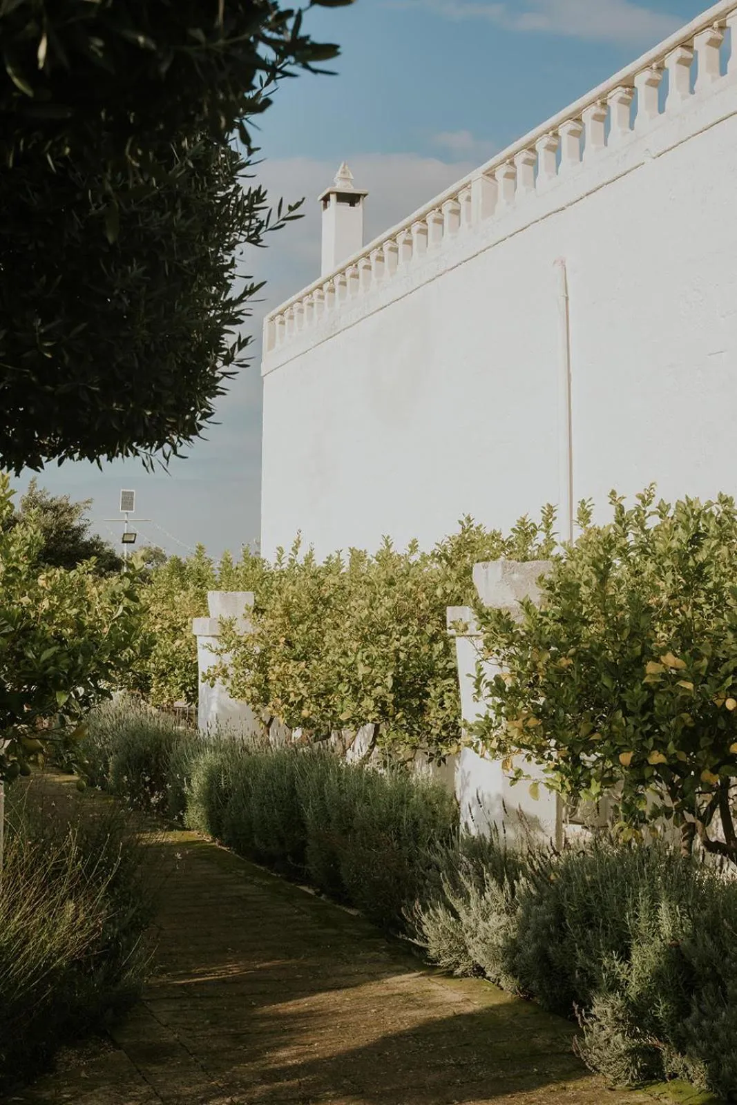 Property building in Masseria Mammella