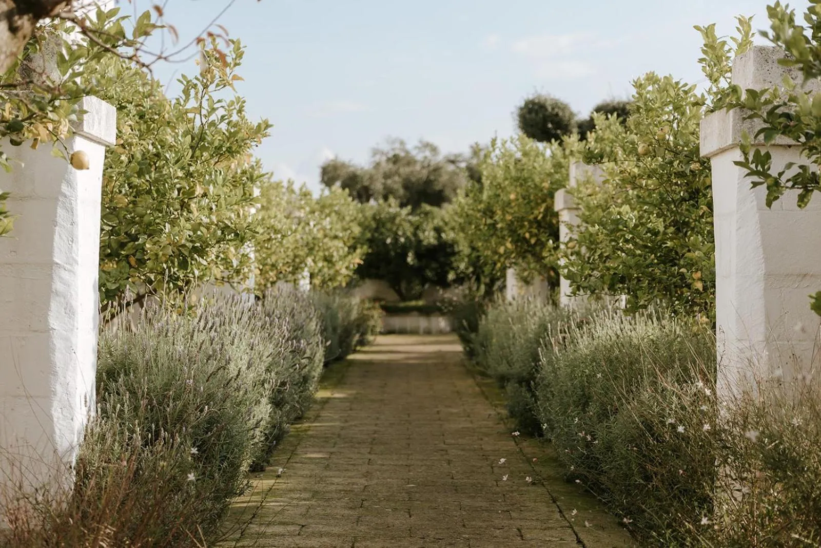 Property building in Masseria Mammella