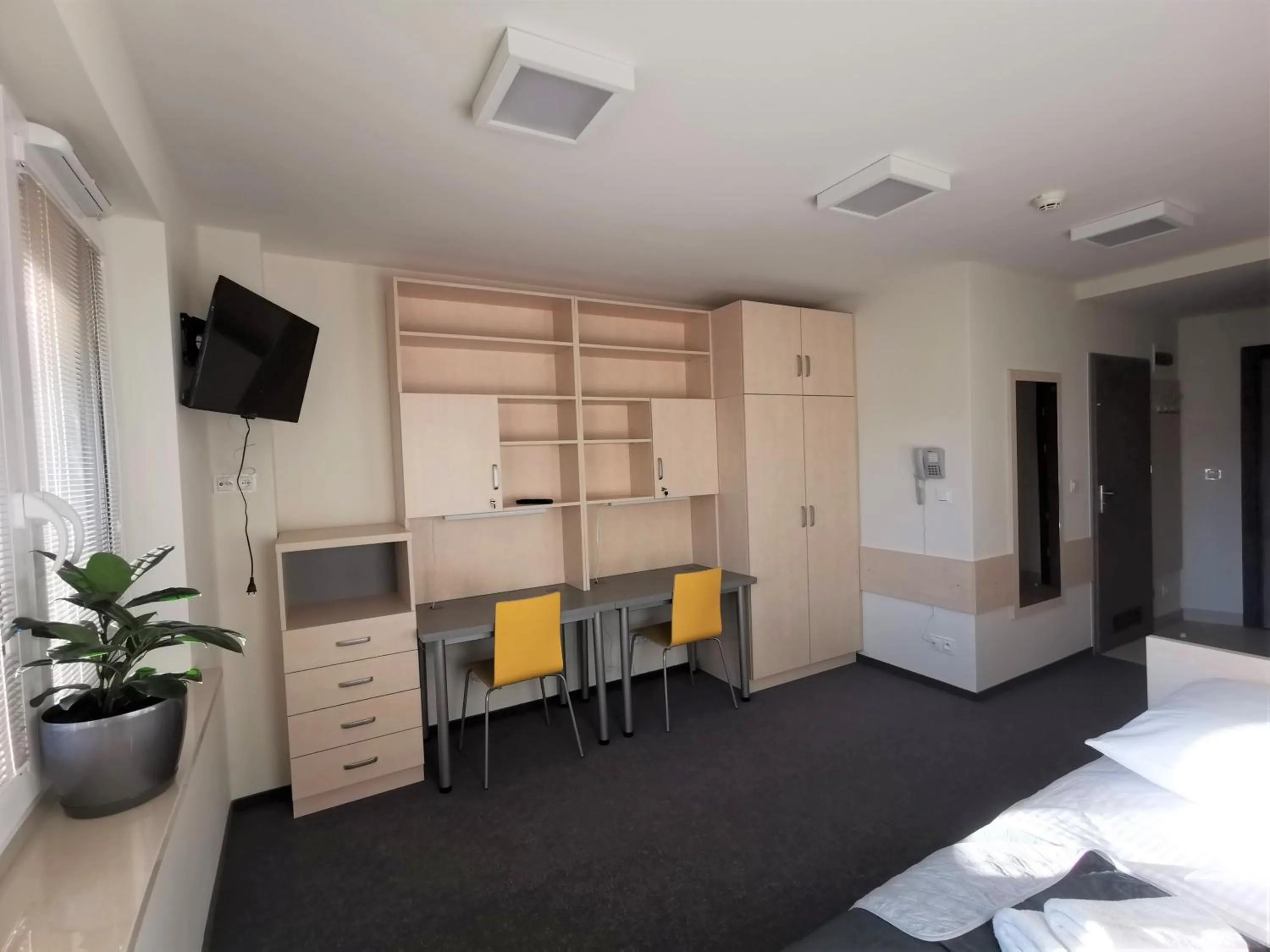 Dom Studencki Zaułek