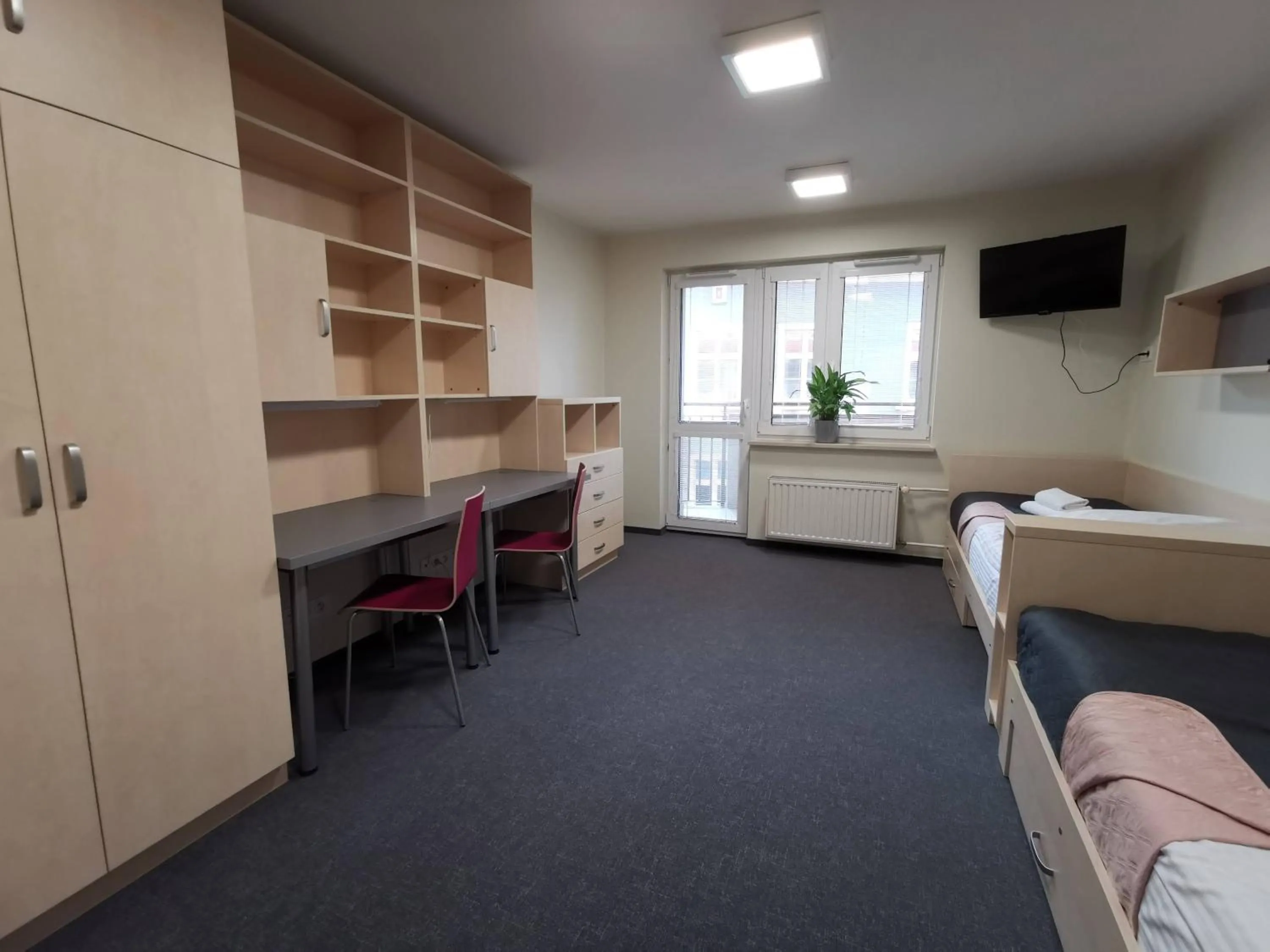 Dom Studencki Zaułek