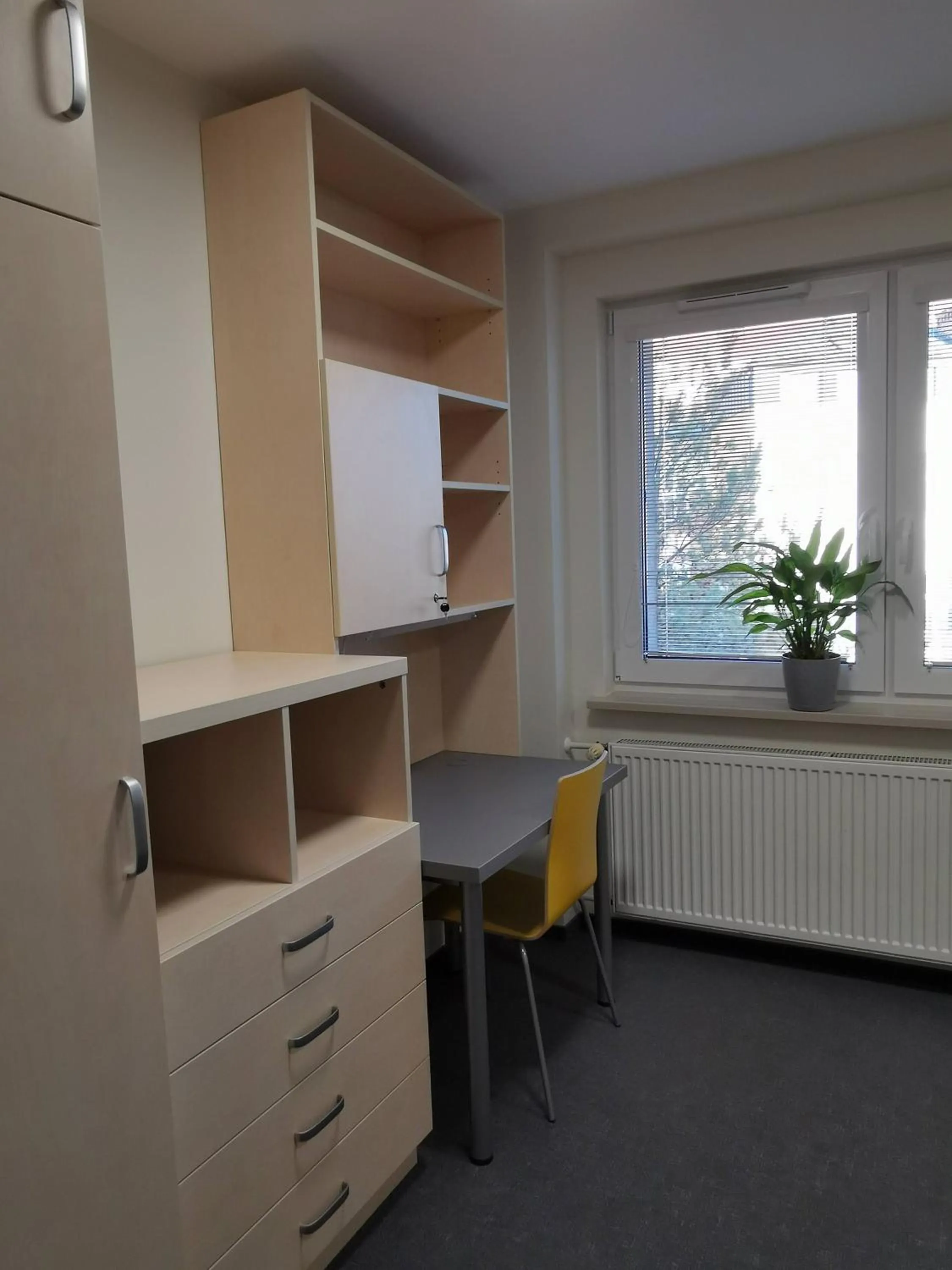 Dom Studencki Zaułek