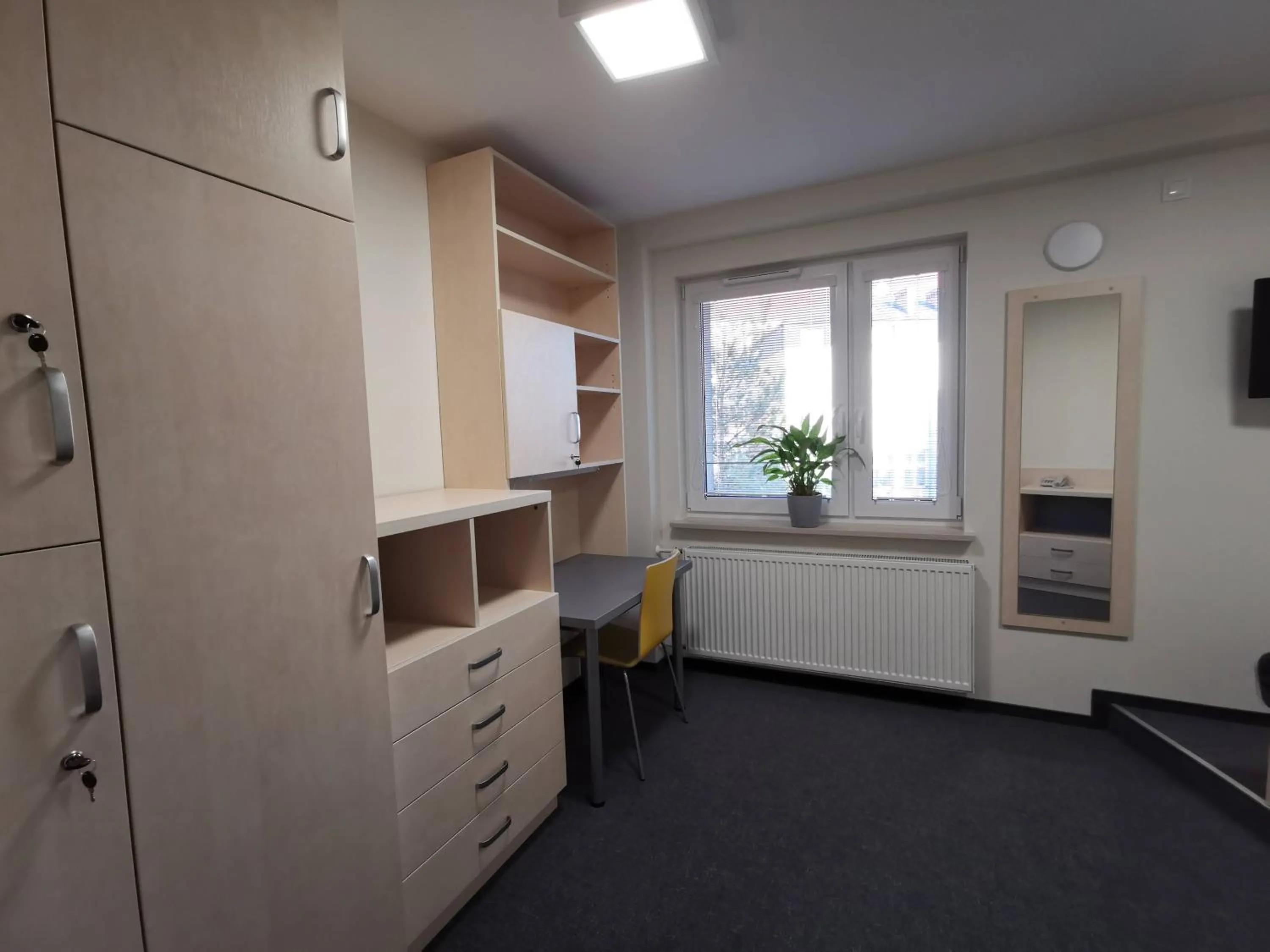 Dom Studencki Zaułek