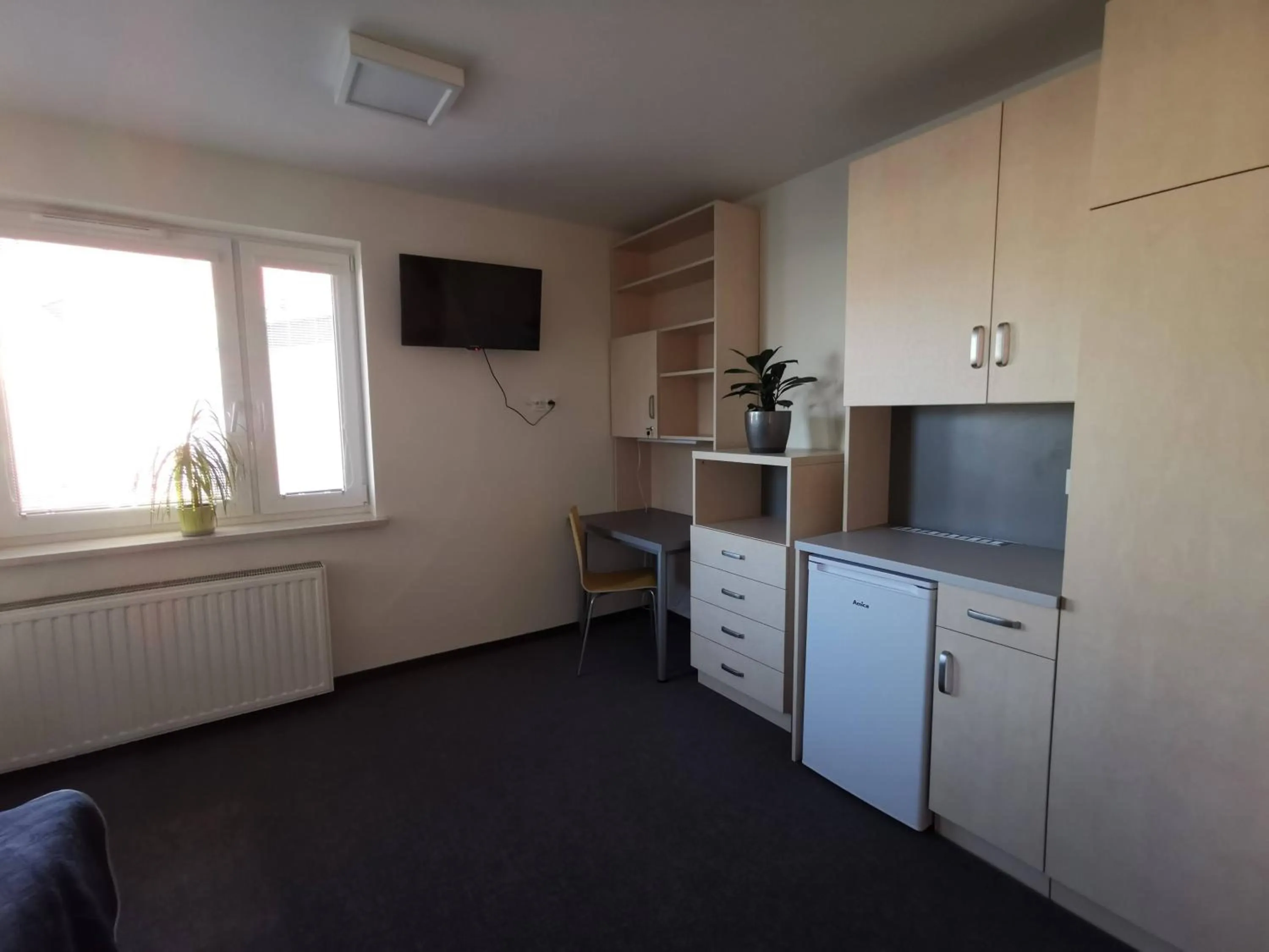 Dom Studencki Zaułek