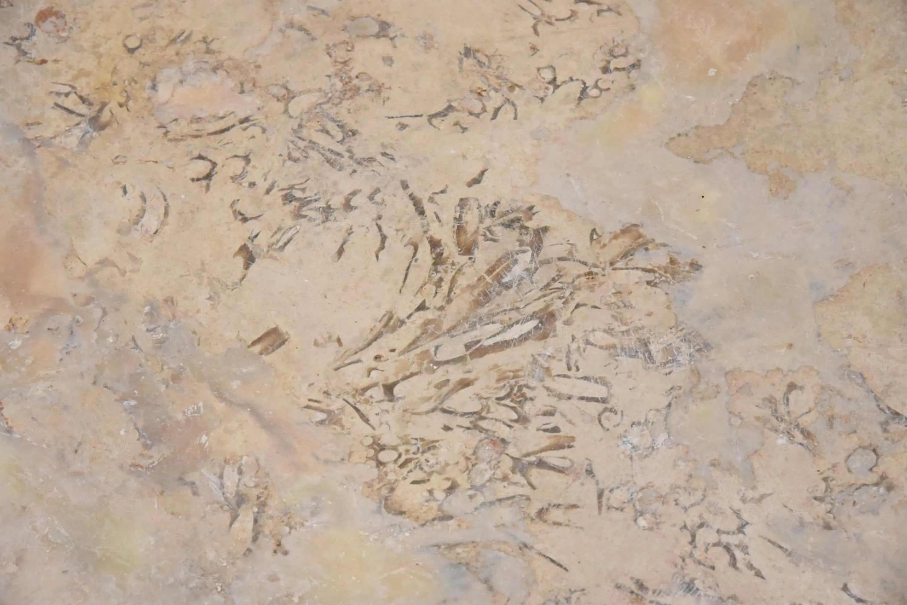 Decorative detail in Trulli Occhi Di Pietra