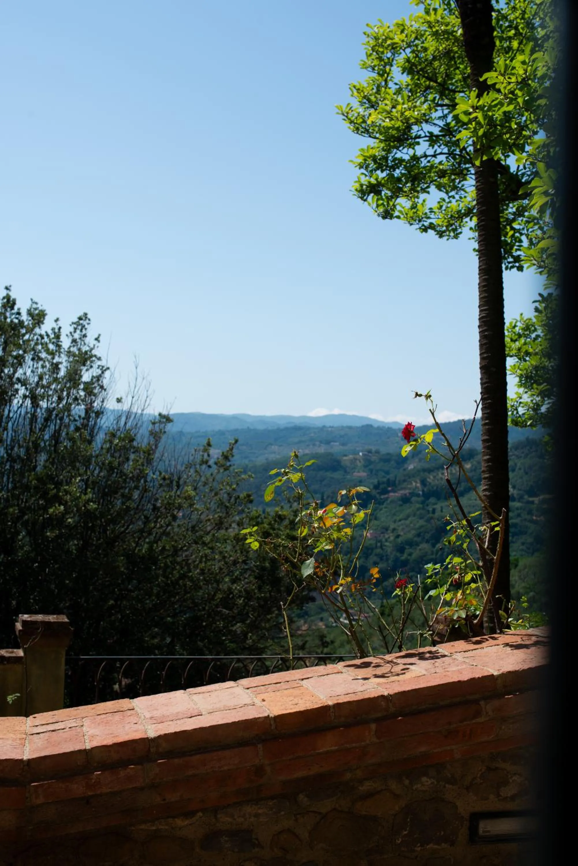 Bird's eye view in Dimora Belvedere
