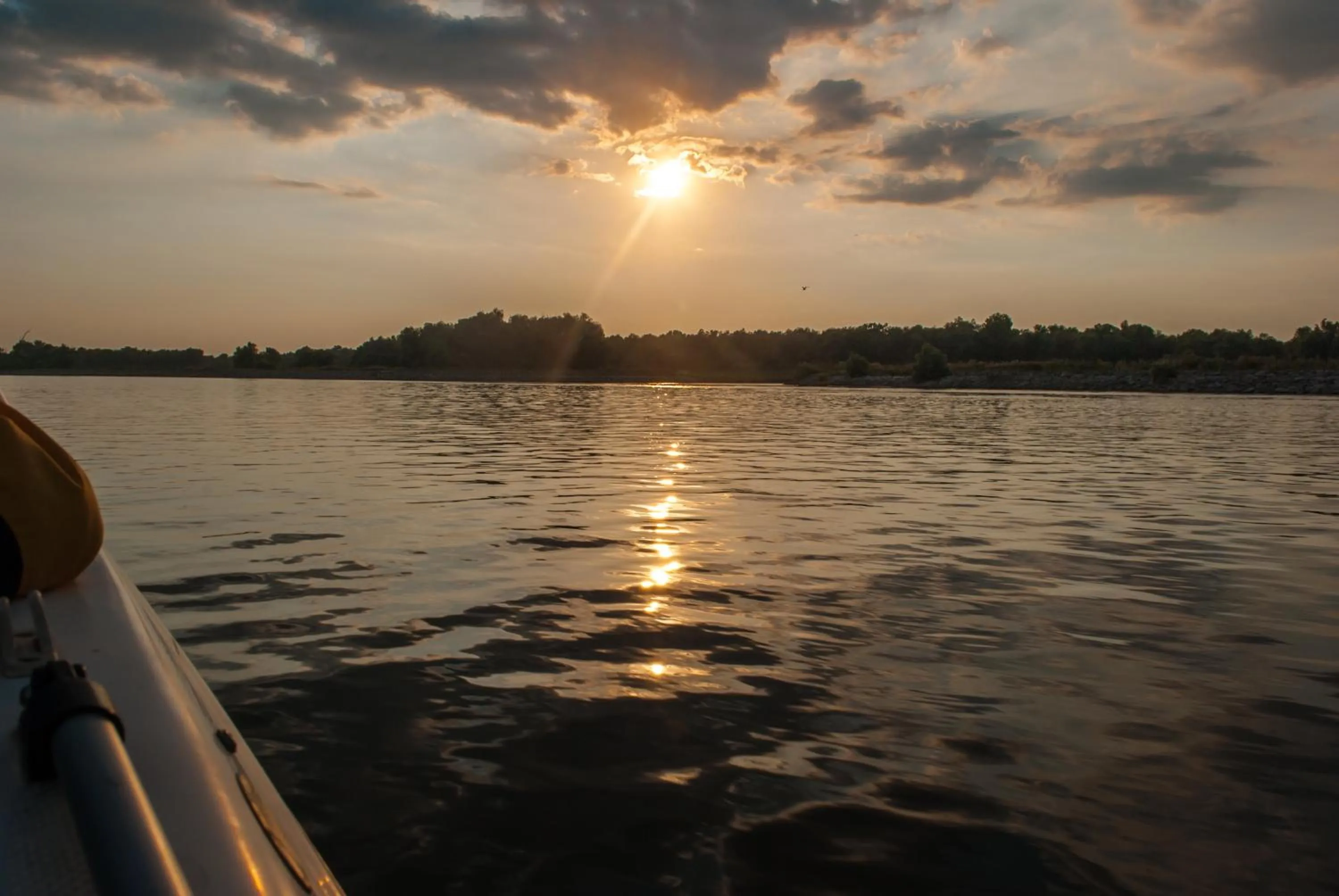 Natural landscape in Delta Resort Treetop by Eight Continents