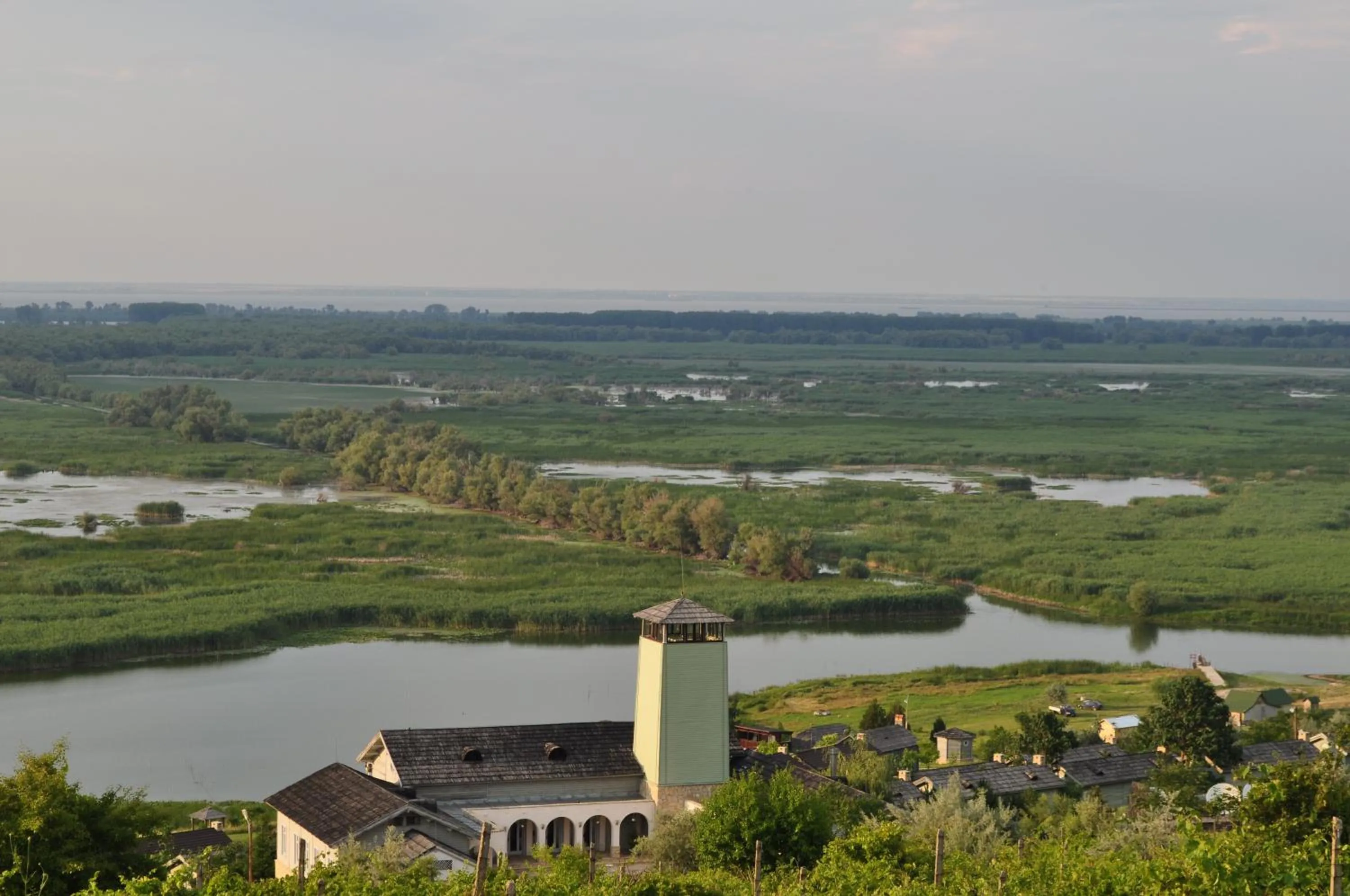 Natural landscape in Delta Resort Treetop by Eight Continents