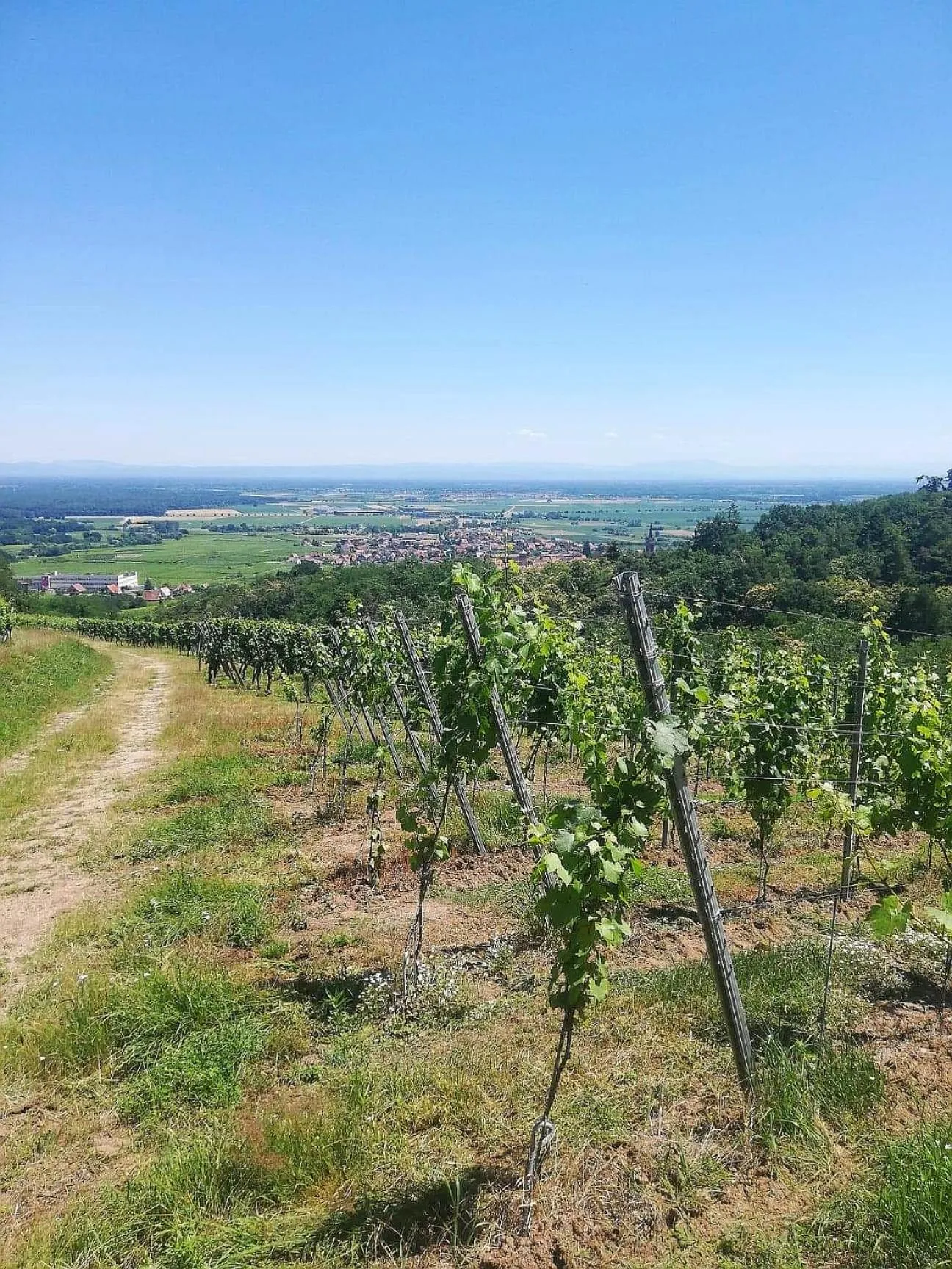 Natural landscape in Chambres d'Hôtes Arnold