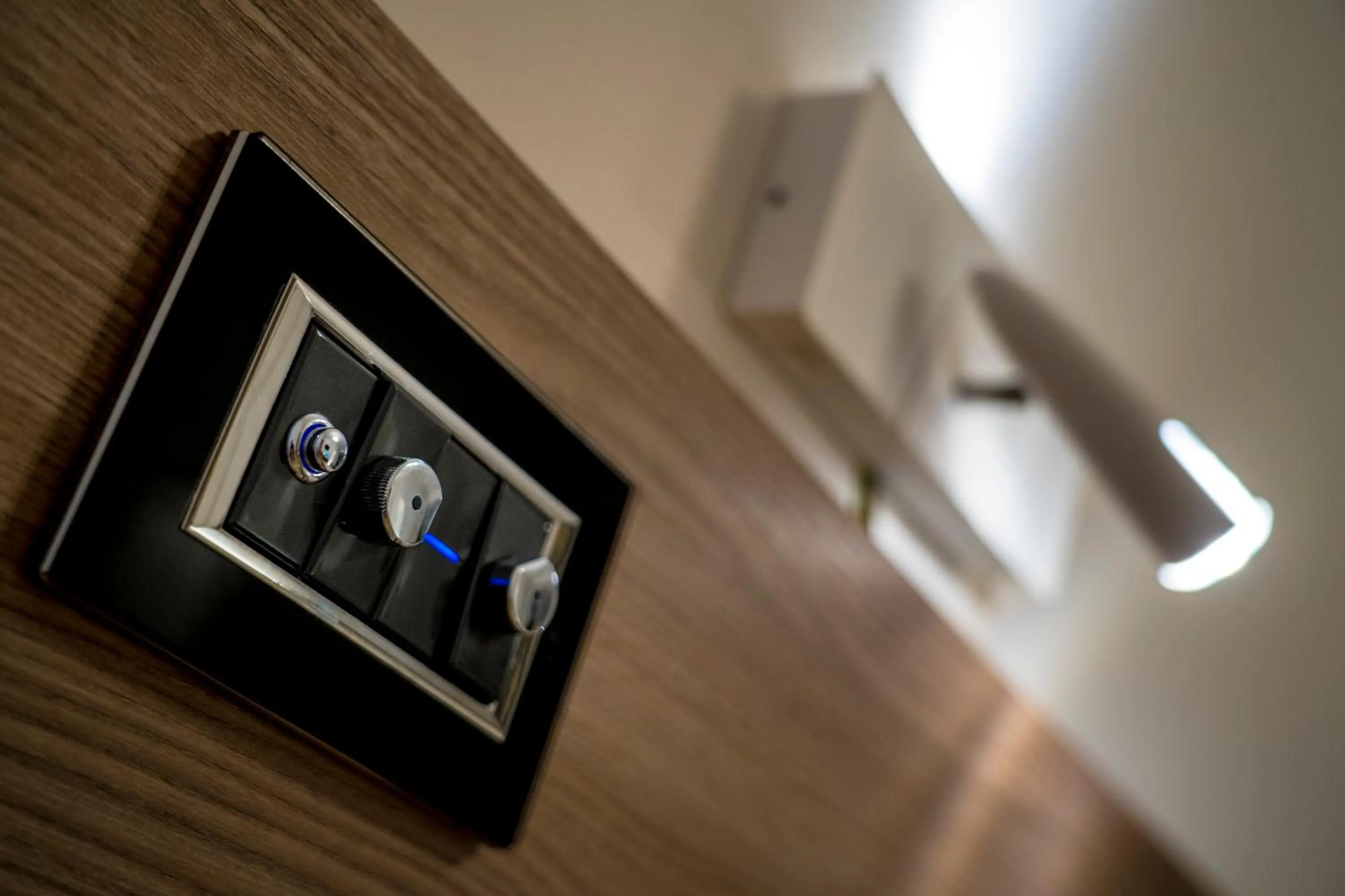 Decorative detail in Opera House