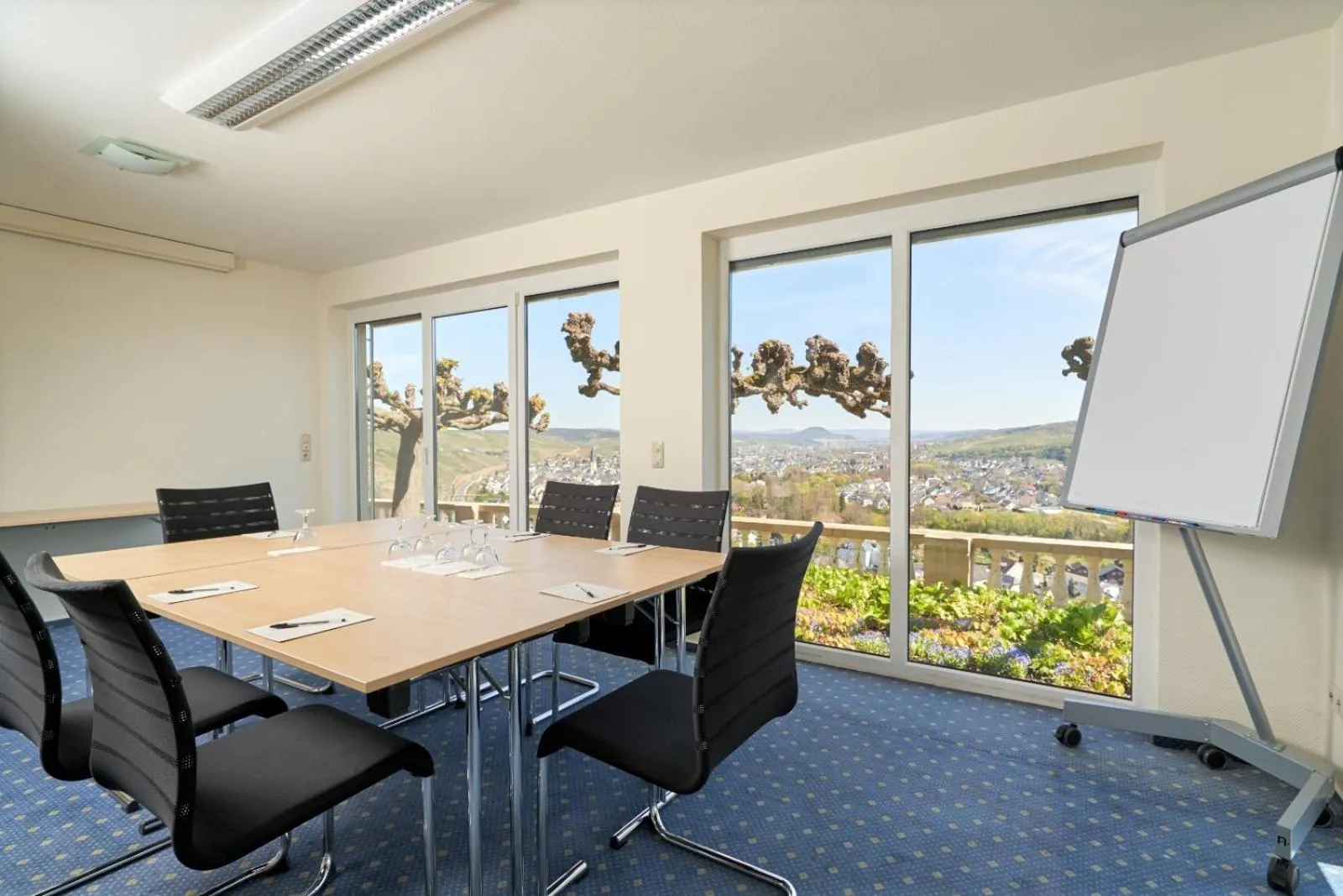 Business facilities in Hohenzollern