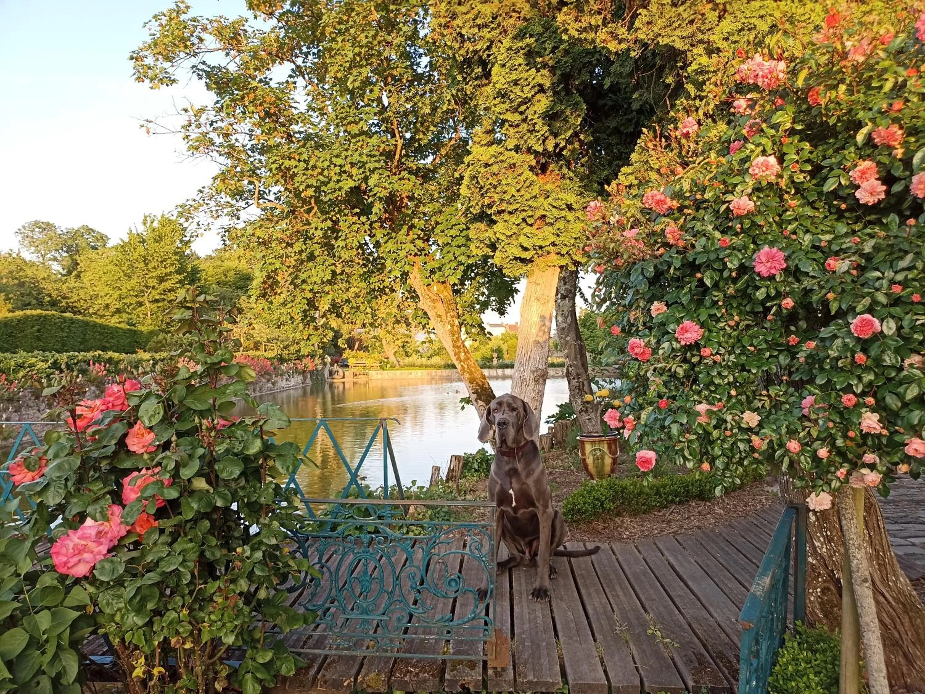 Natural landscape in Les Douves