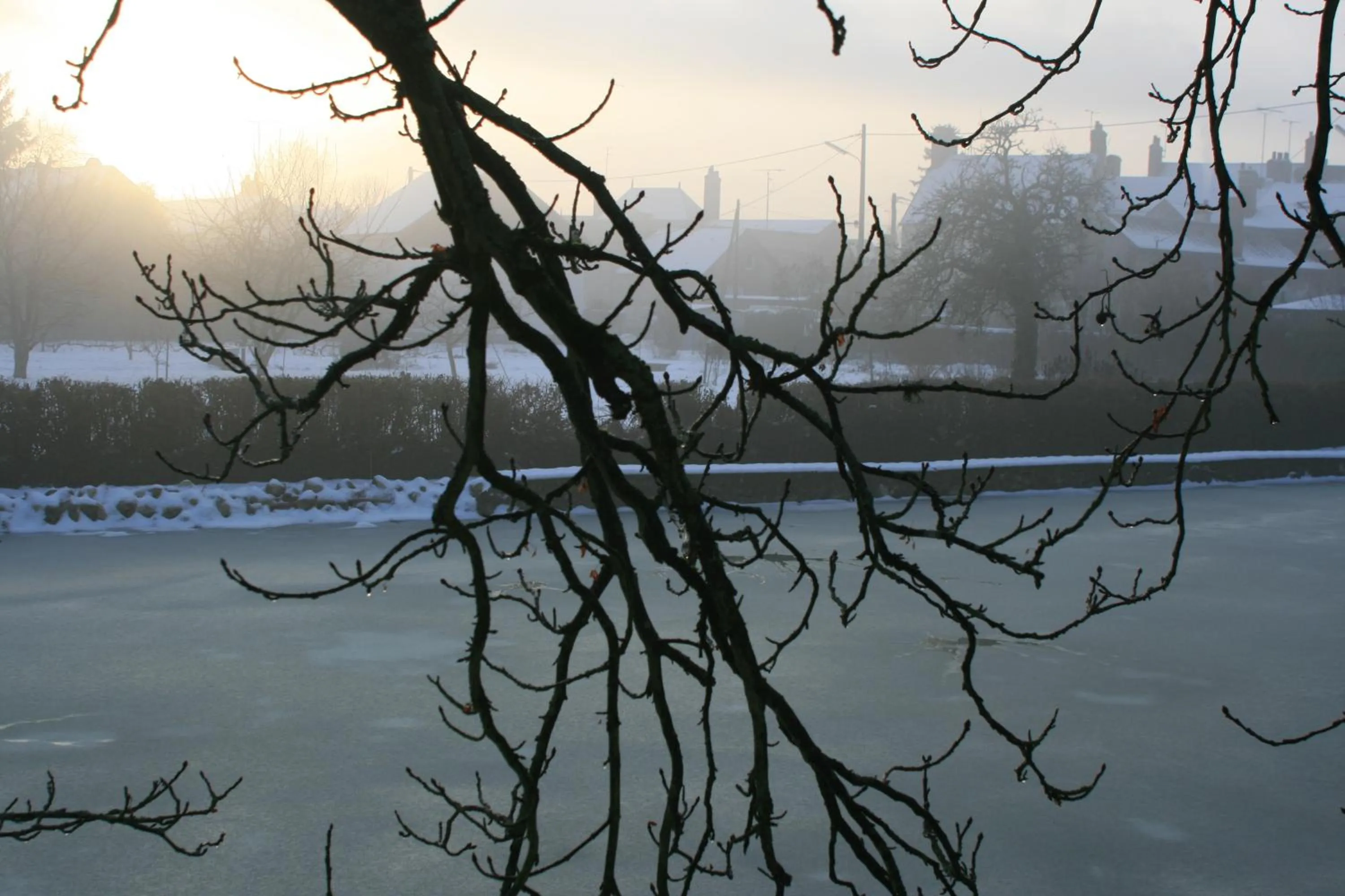 Lake view in Les Douves