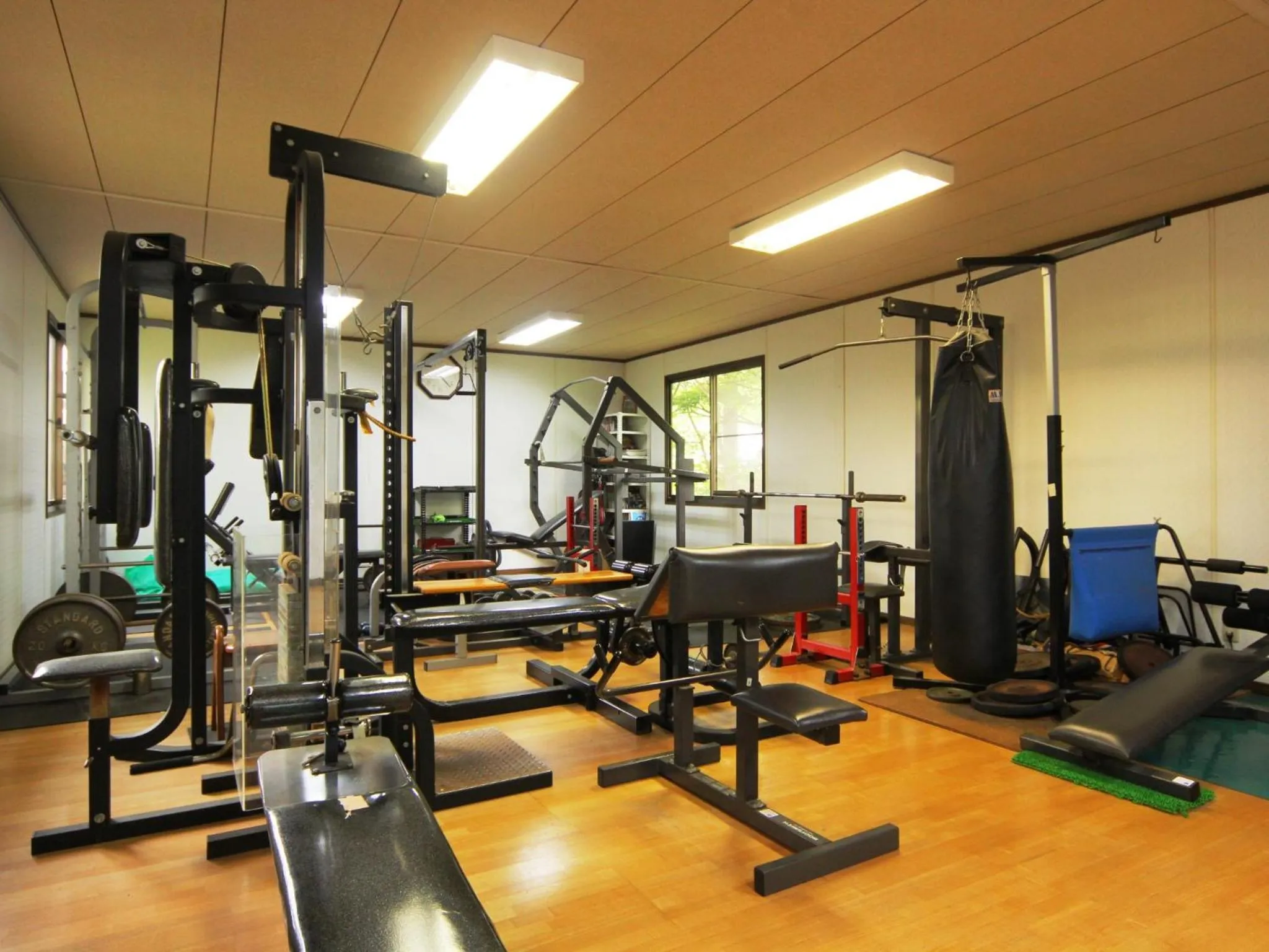Fitness centre/facilities in Pension Peppermint House