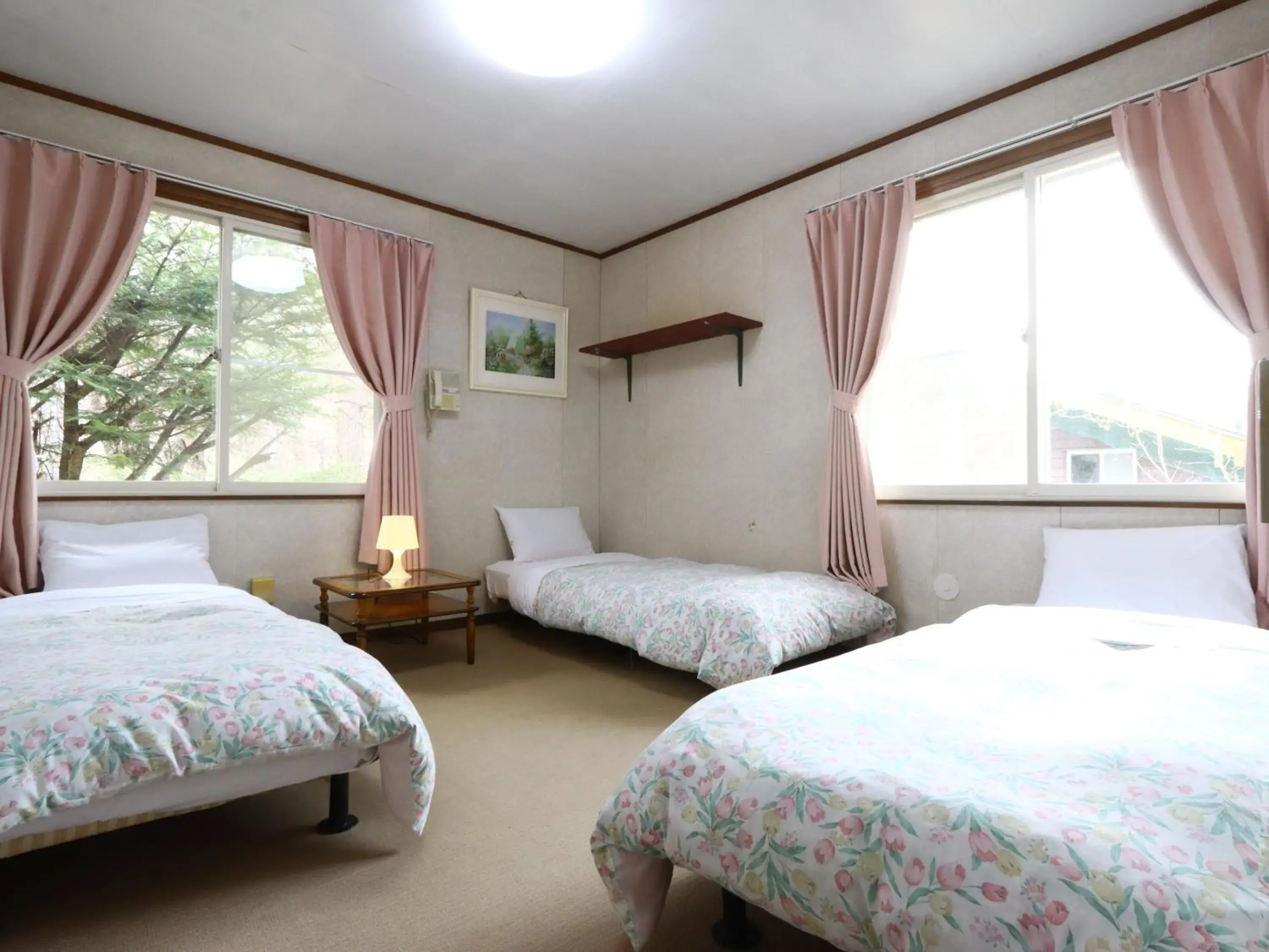 Triple Room with Shared Toilet - single occupancy in Pension Peppermint House Triple Room with Shared Toilet - single occupancy in Pension Peppermint House