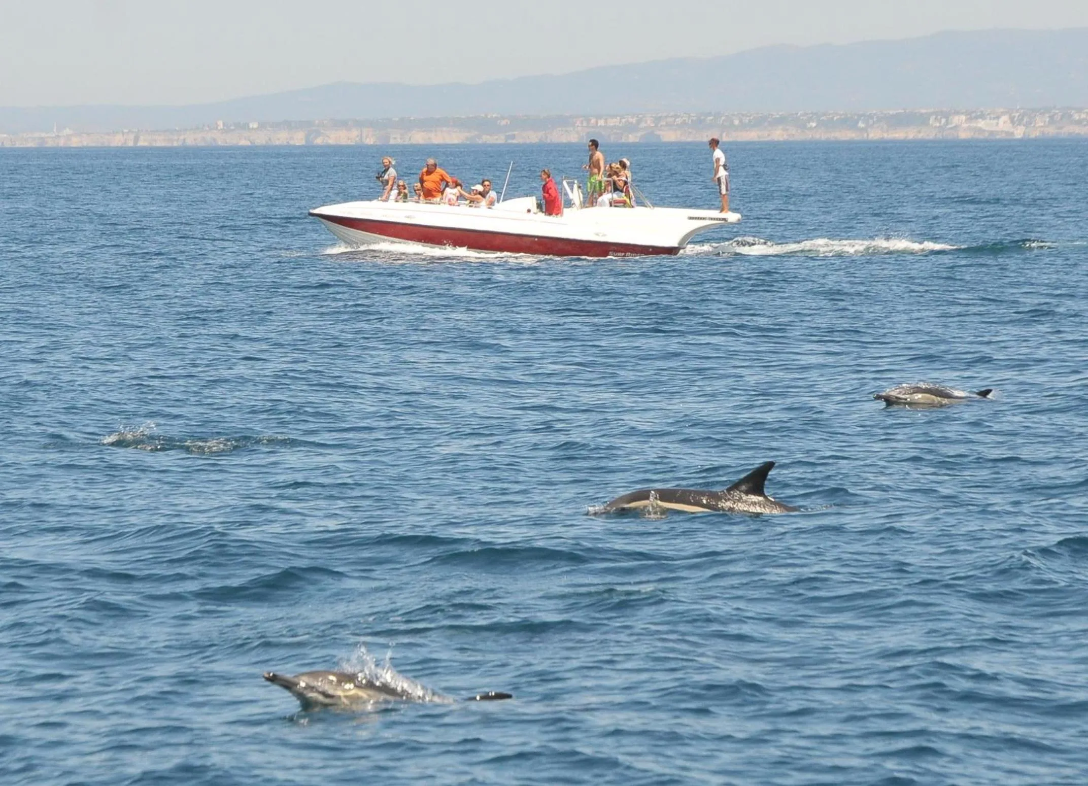 Activities in Boutique Hotel Marina S. Roque