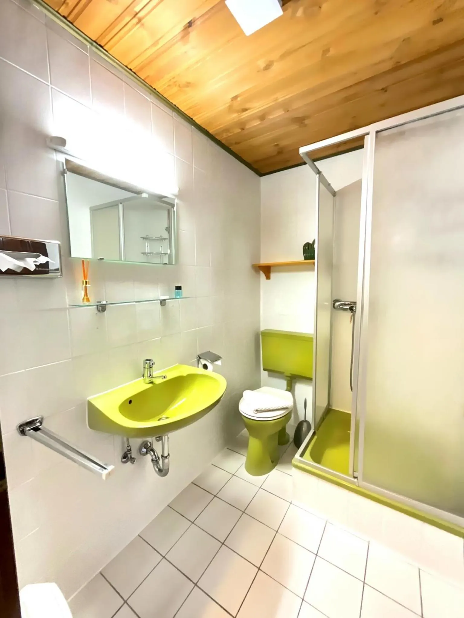 Shower in Hotel Wildrose