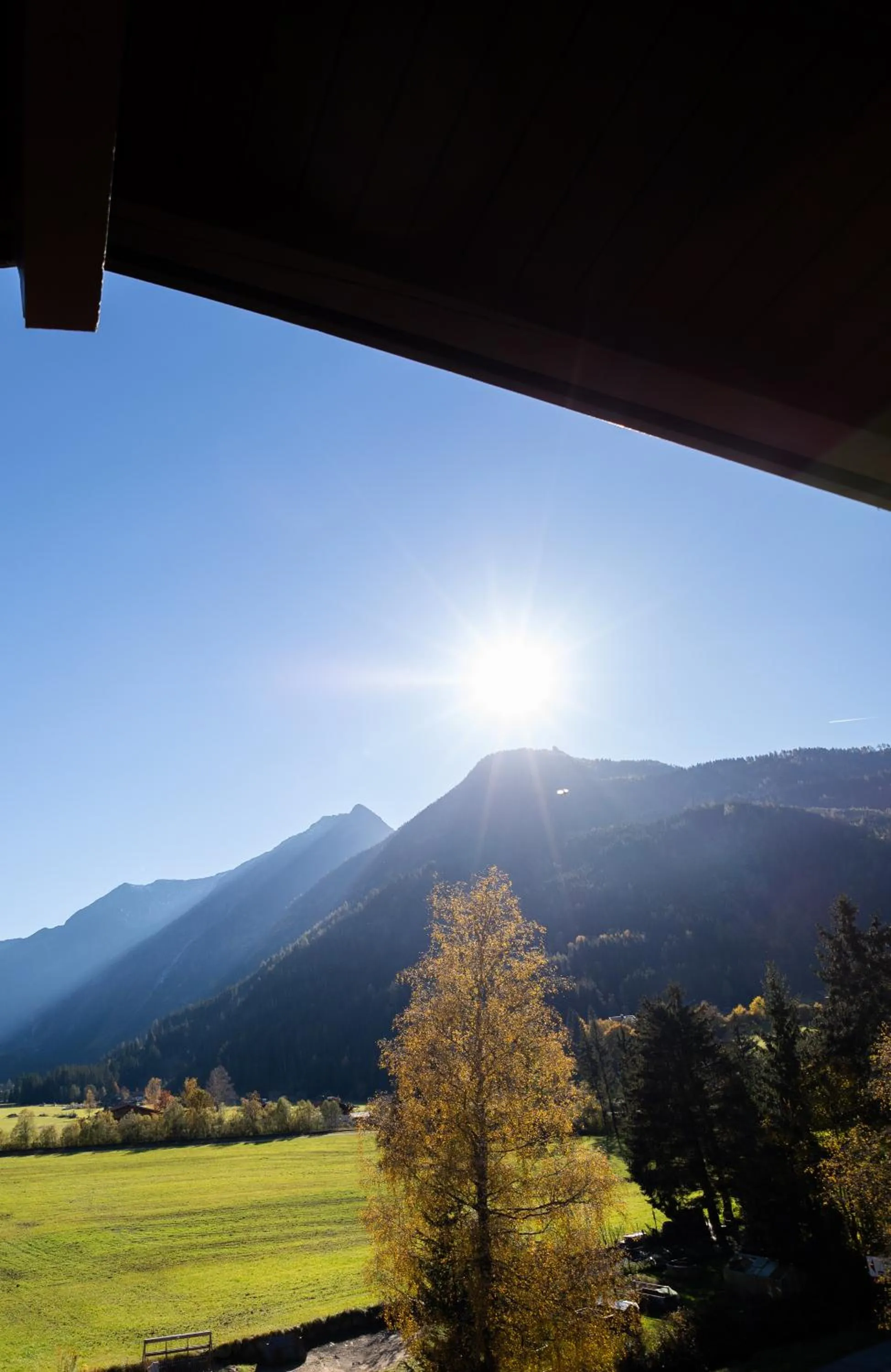 View (from property/room) in Hotel Wildrose